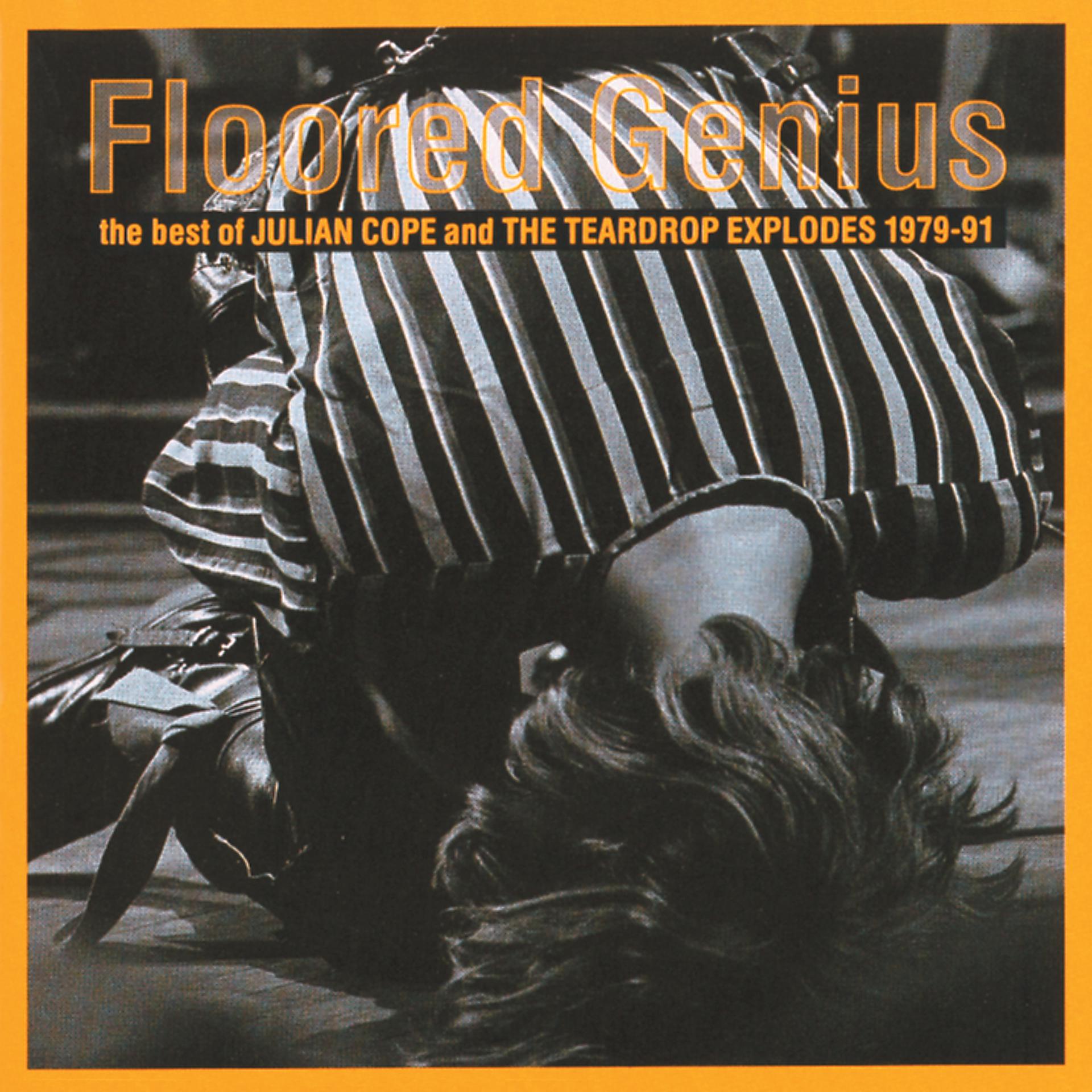 Постер альбома Floored Genius: The Best Of Julian Cope And The Teardrop Explodes 1979-91