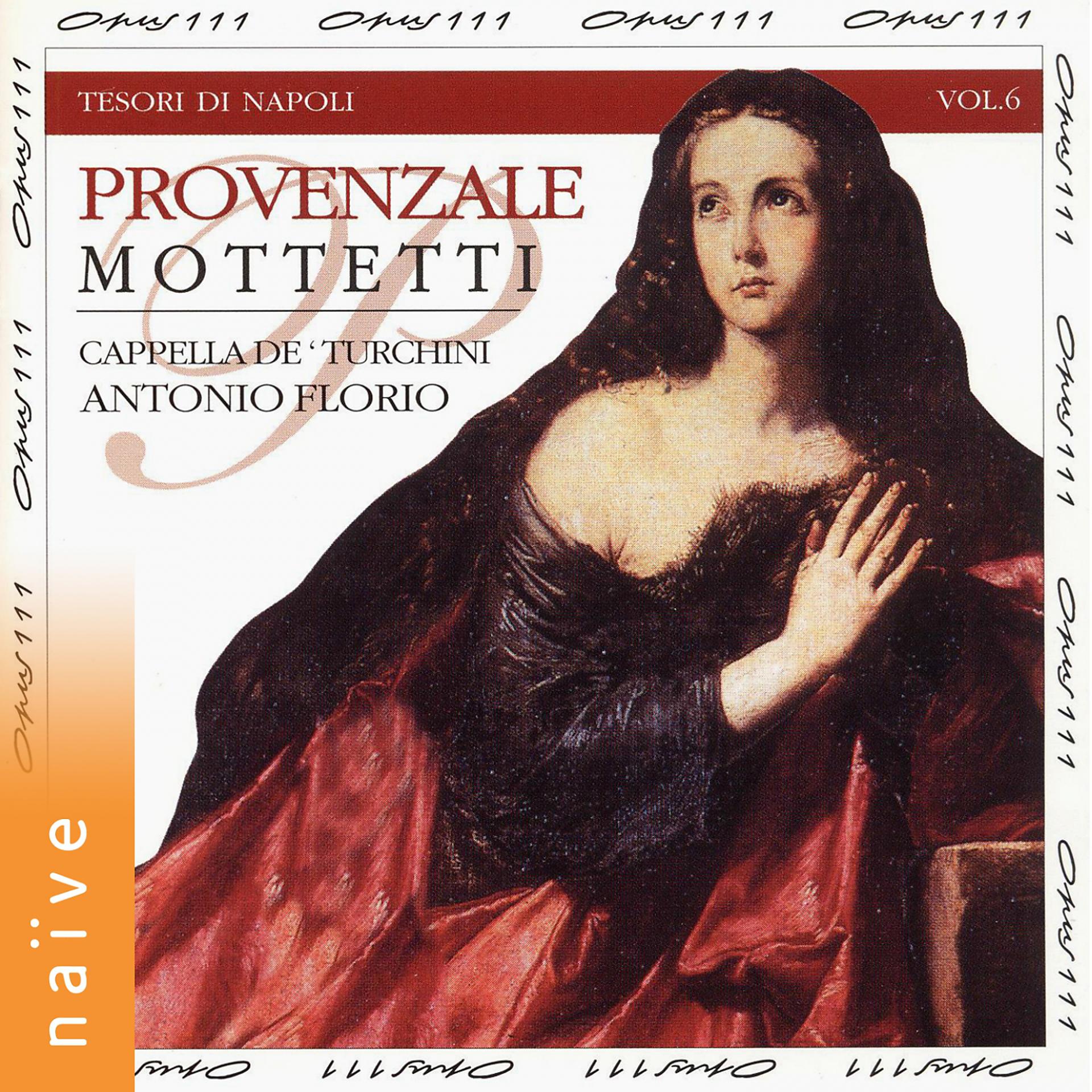 Постер альбома Provenzale motetti: Tesori di Napoli, Vol. 6