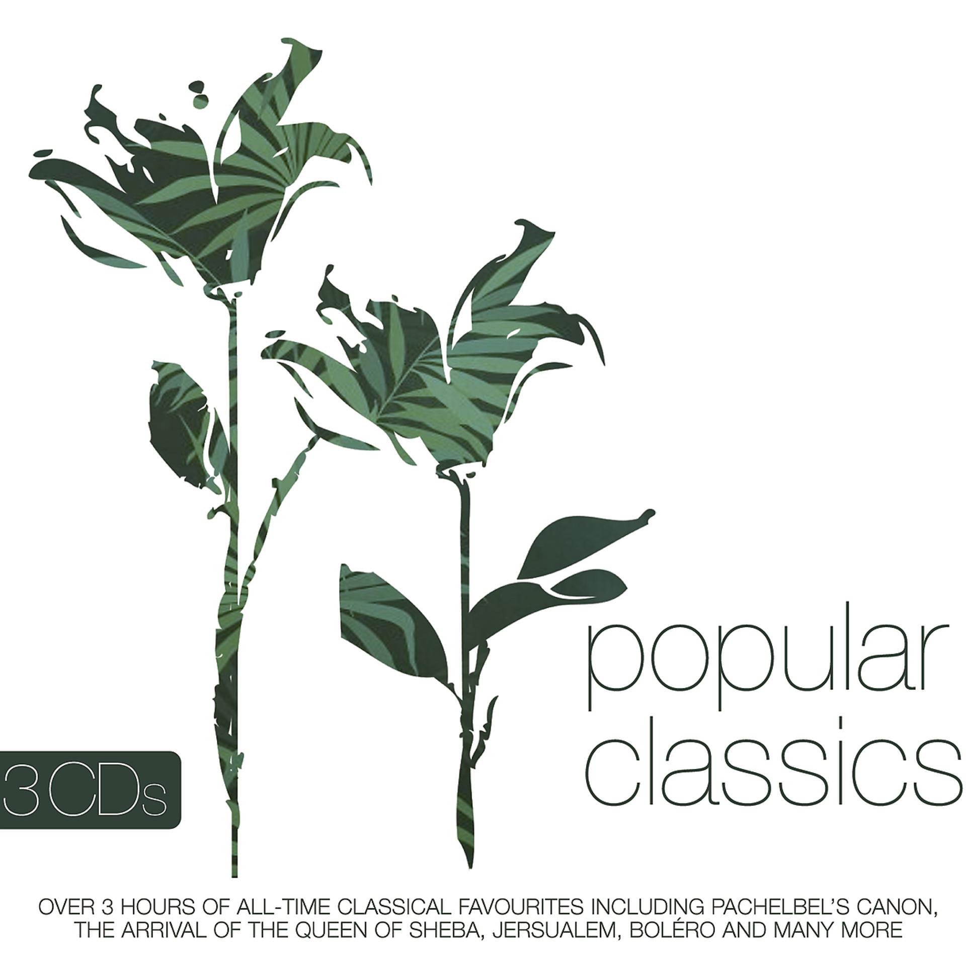 Постер альбома Popular Classics