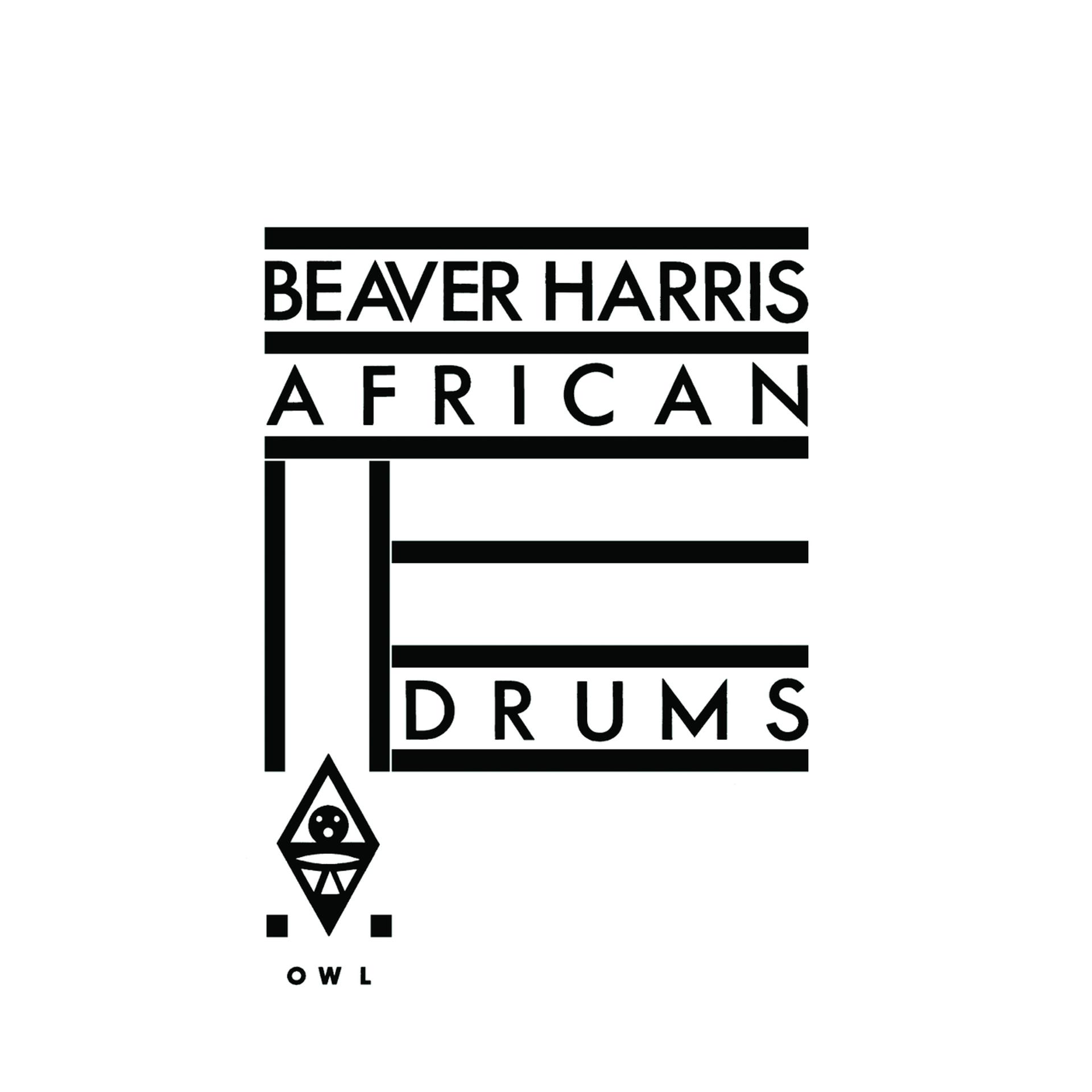 Постер альбома African Drums