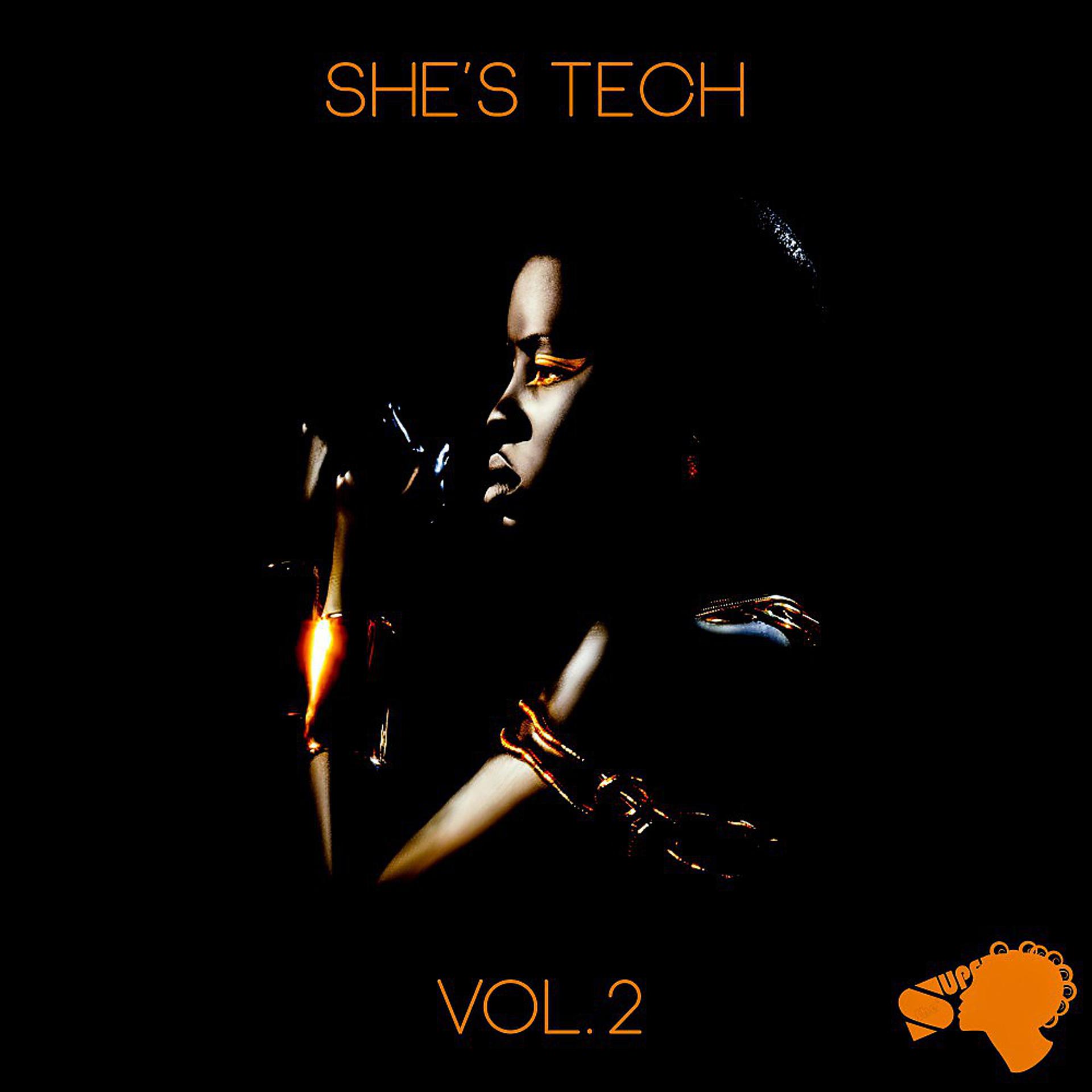Постер альбома She's Tech, Vol. 2