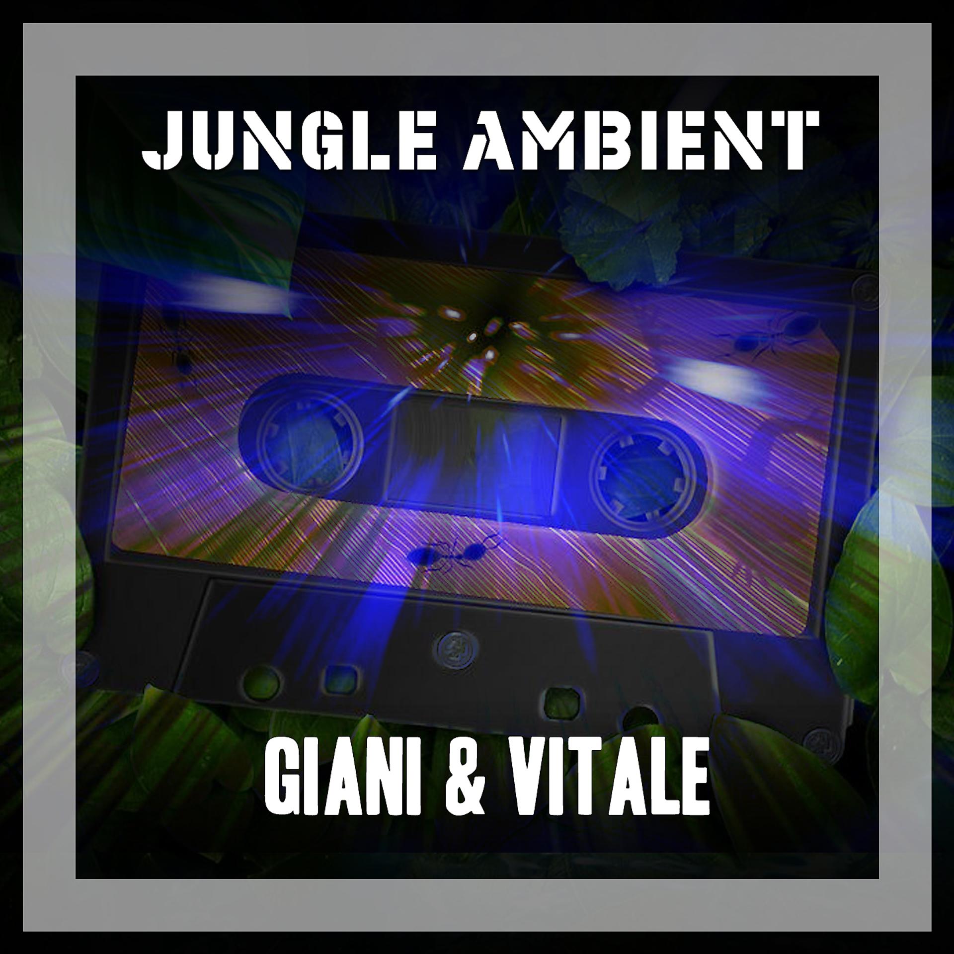 Постер альбома Jungle Ambient