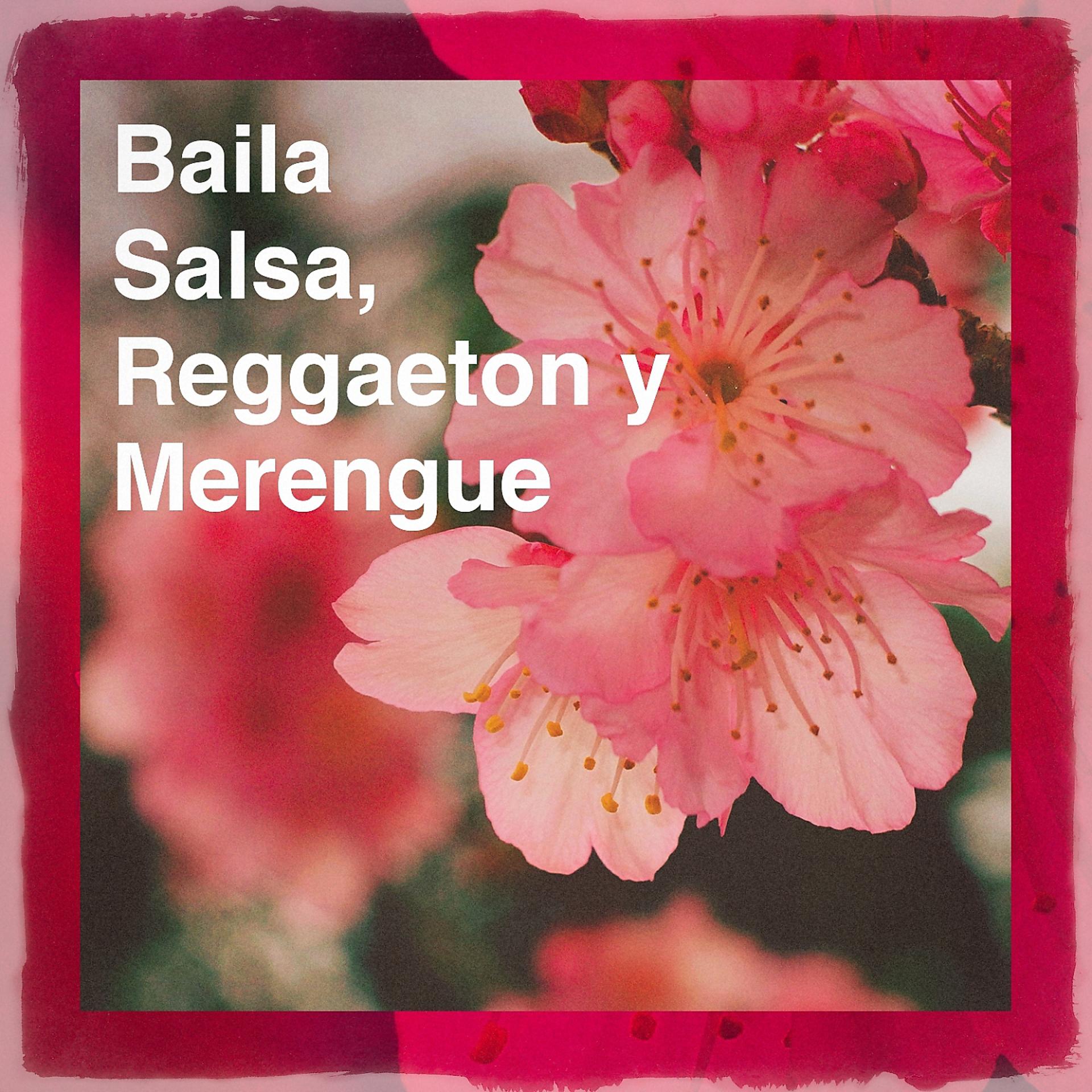 Постер альбома Baila Salsa, Reggaeton y Merengue