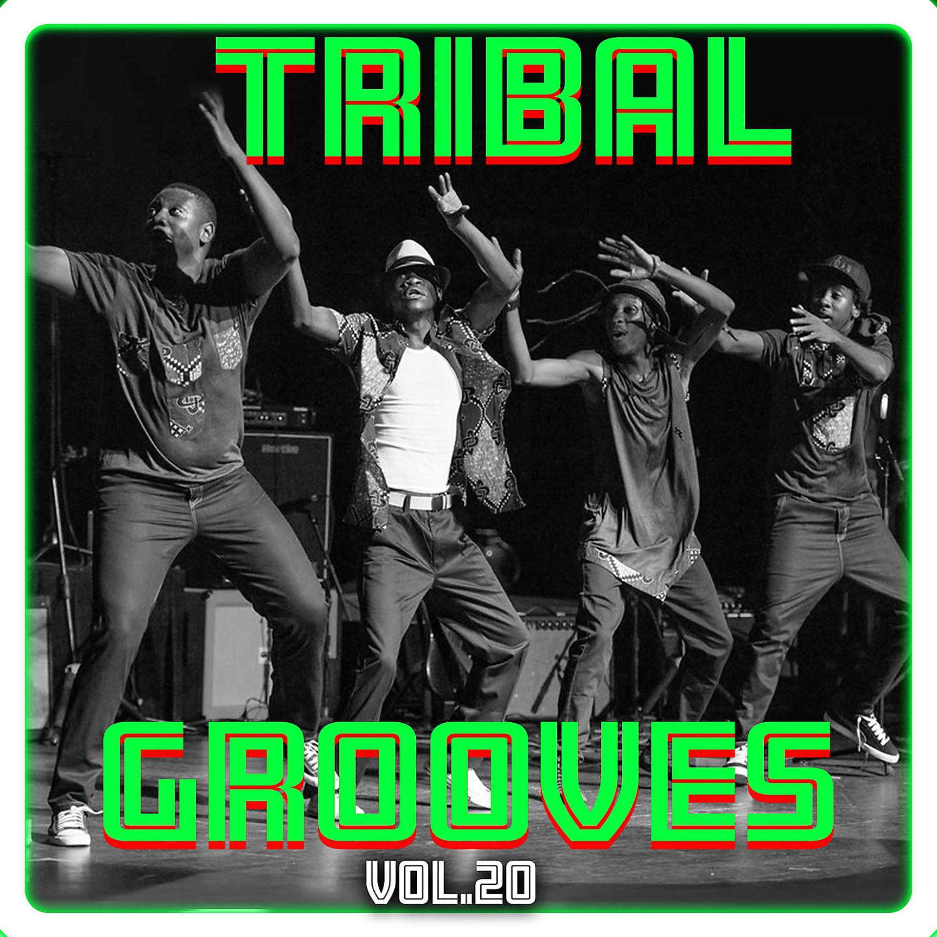Постер альбома Tribal Grooves Vol. 20
