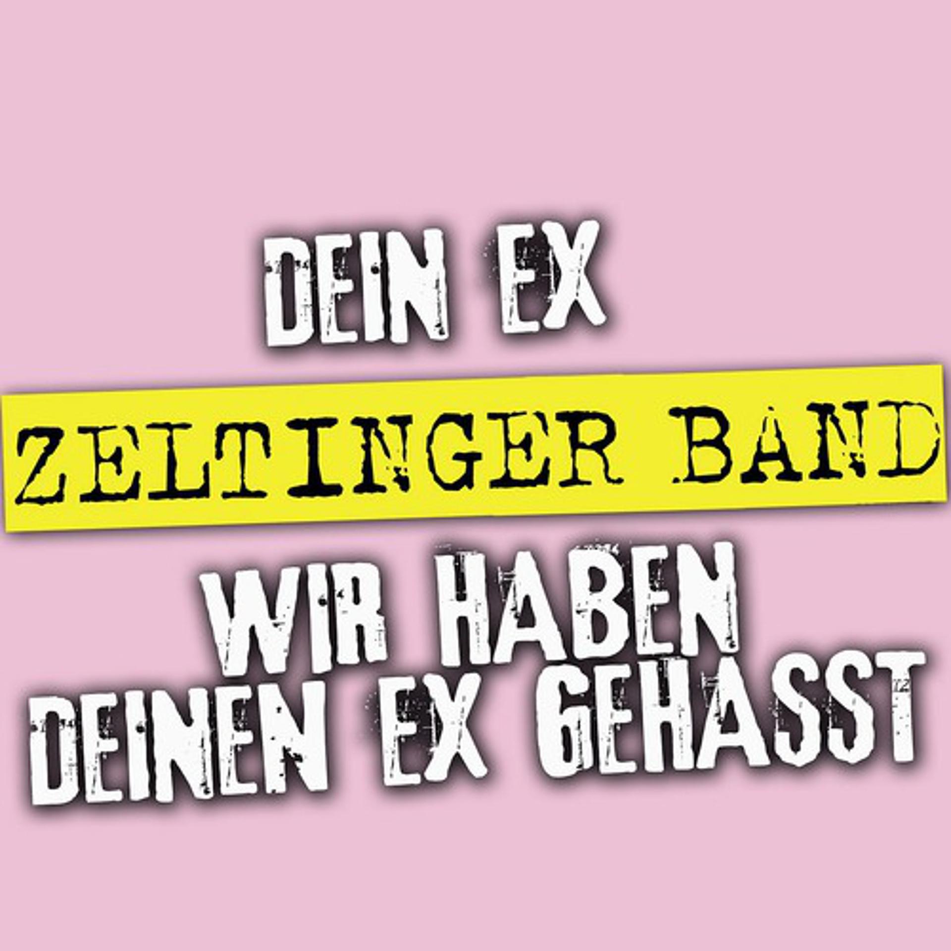 Постер альбома Dein Ex - Wir Haben Deinen Ex Gehasst