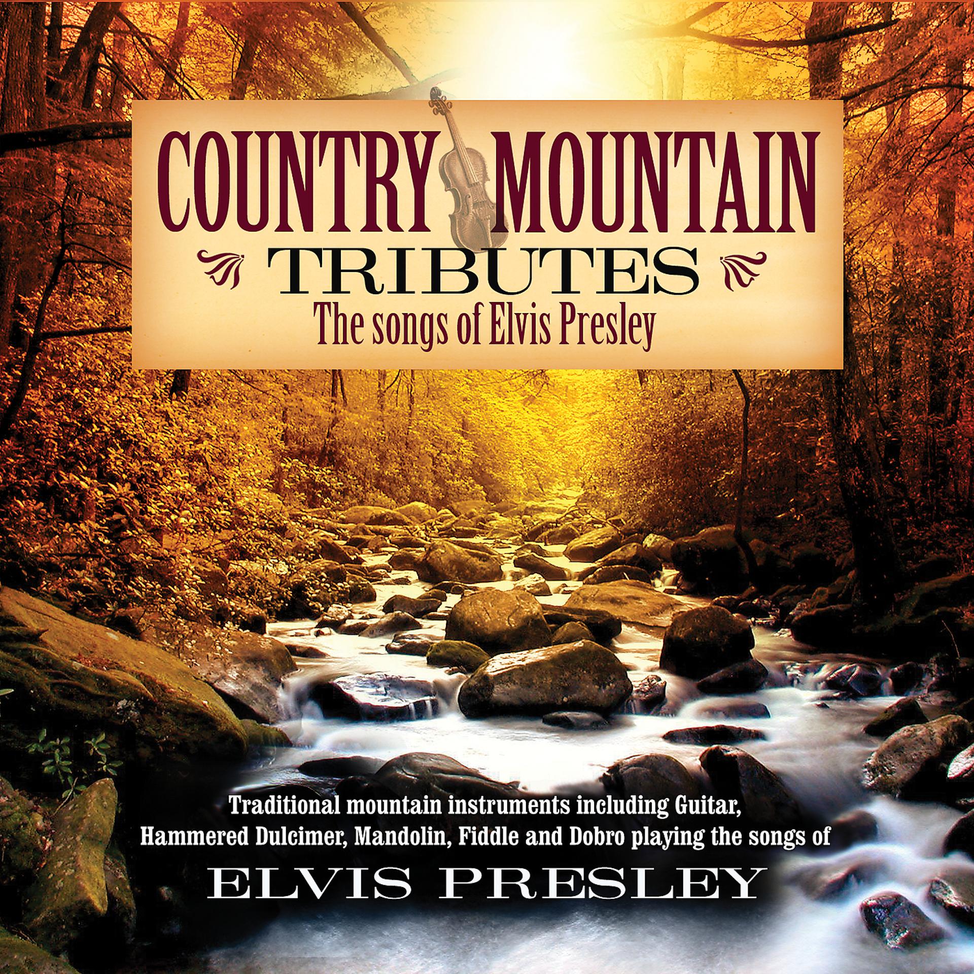 Постер альбома Country Mountain Tributes: Elvis Presley
