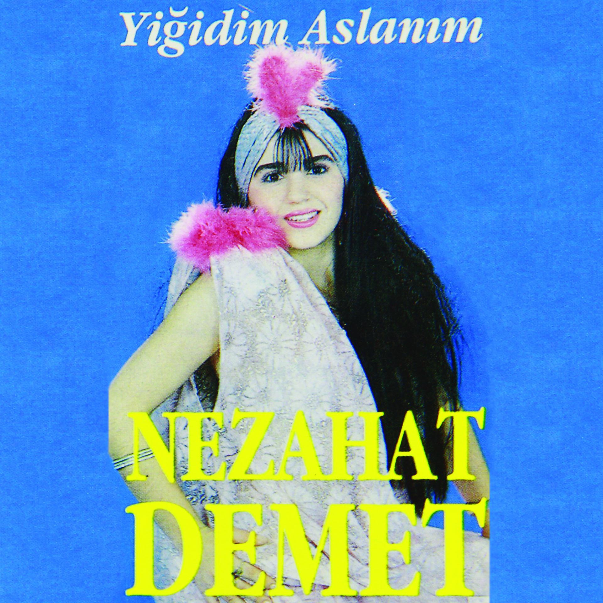 Постер альбома Yiğidim Aslanım