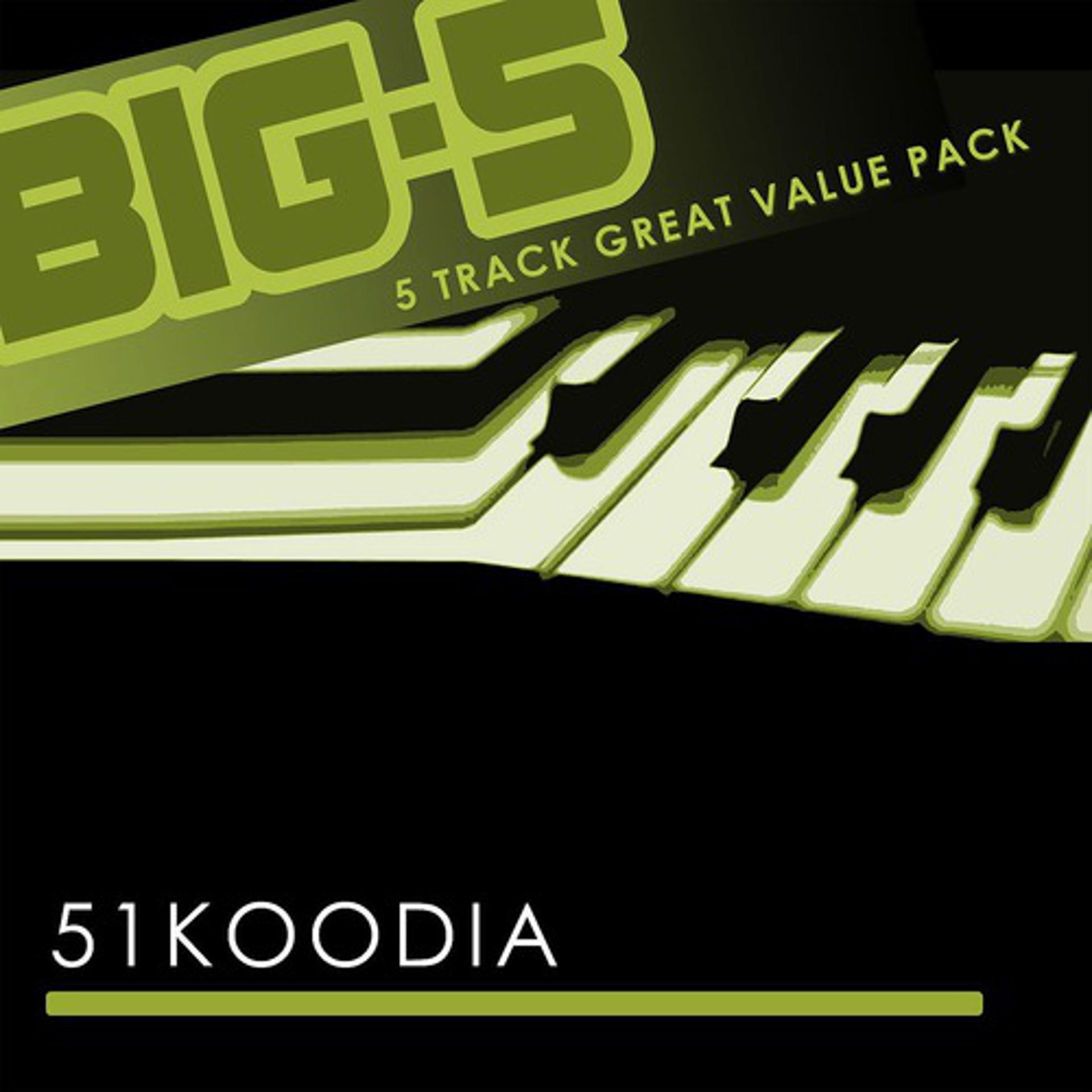 Постер альбома Big-5: 51 Koodia