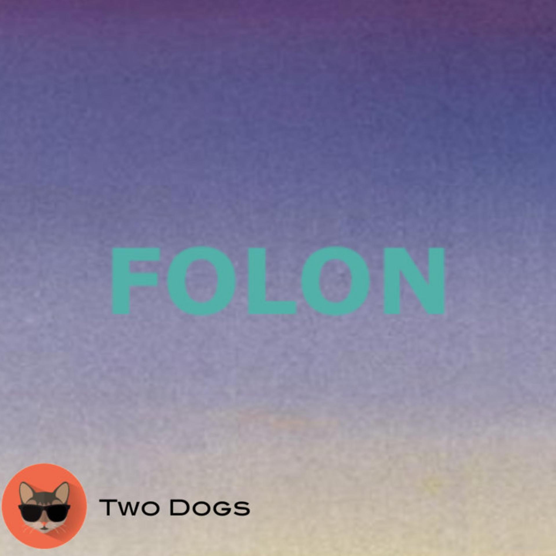 Постер альбома Folon