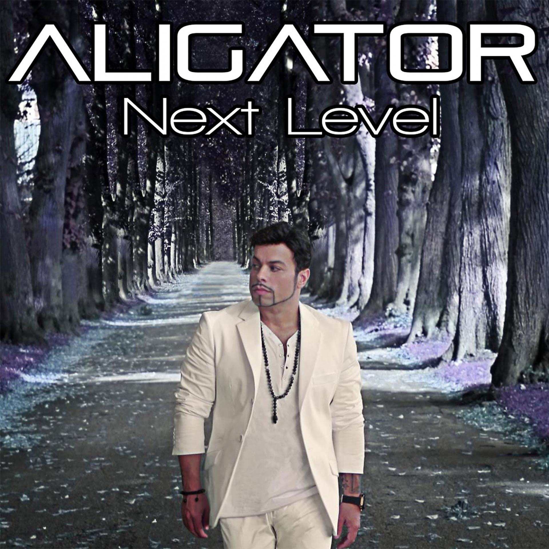 Постер к треку DJ Aligator, Alexander Popov - Moments of Life