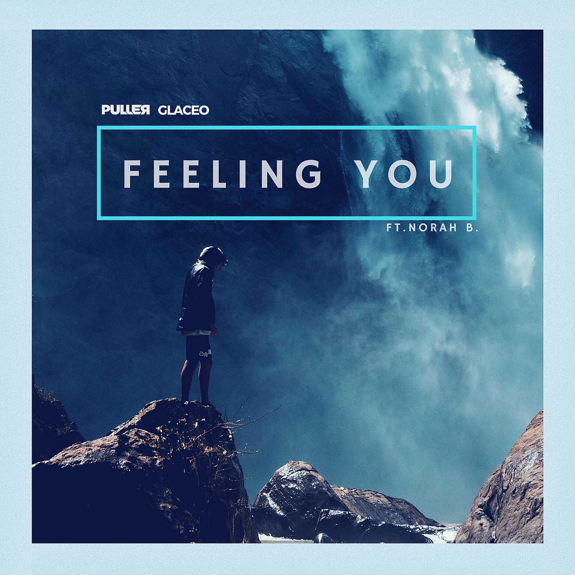 Постер альбома Feeling You (feat. Norah B.)