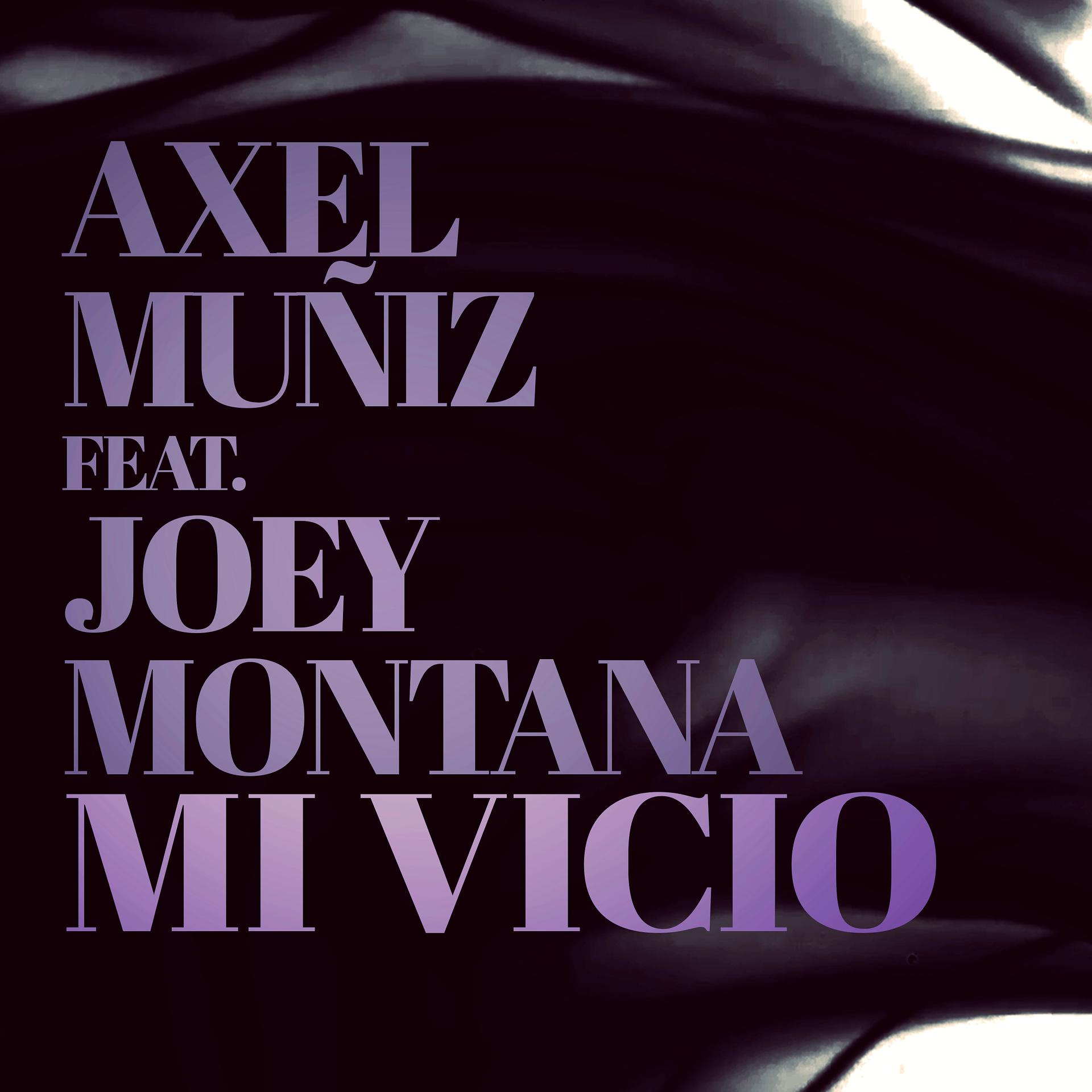 Постер альбома Mi Vicio (feat. Joey Montana)