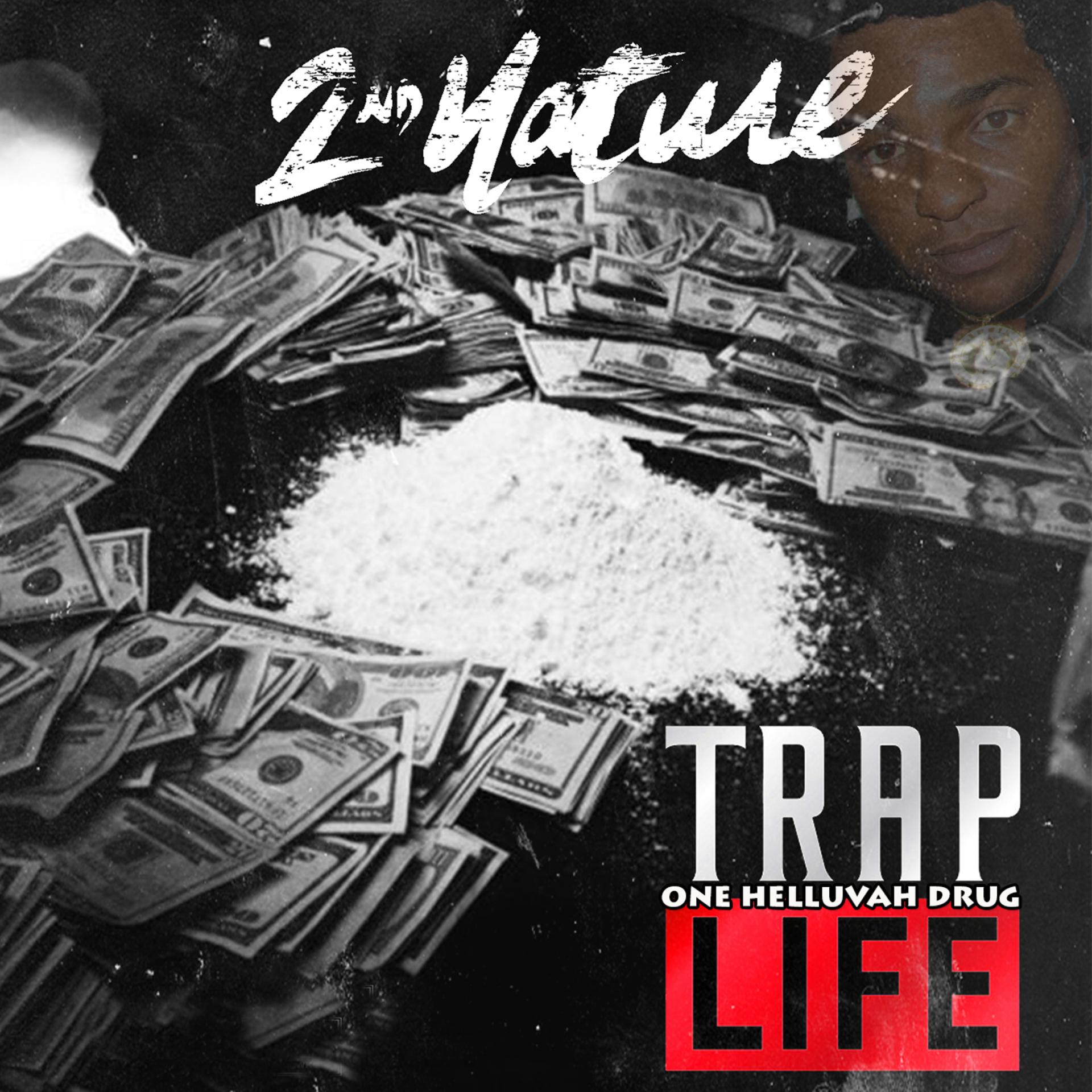 Постер альбома One Helluvah Drug: Trap Life