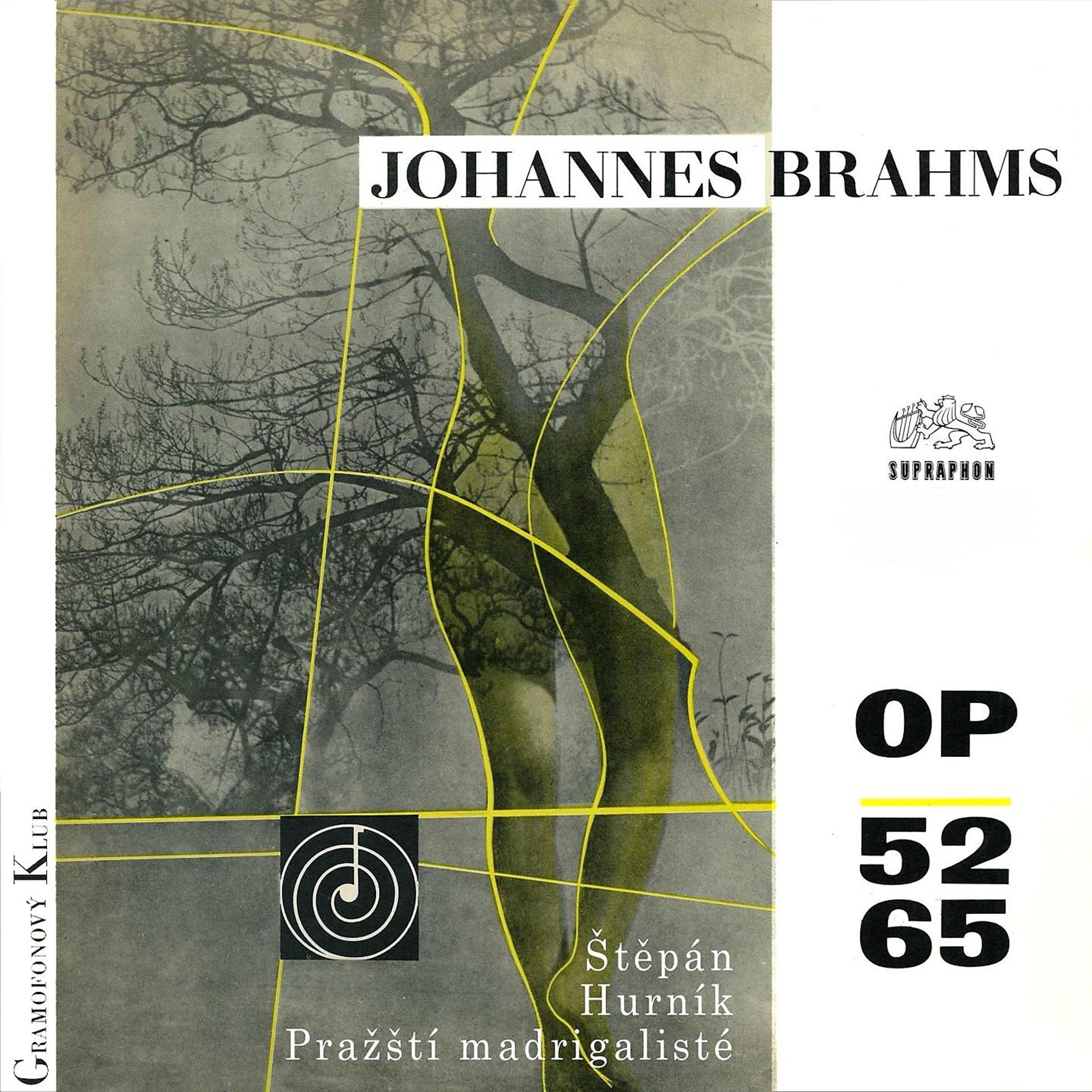 Постер альбома Brahms: Liebeslieder