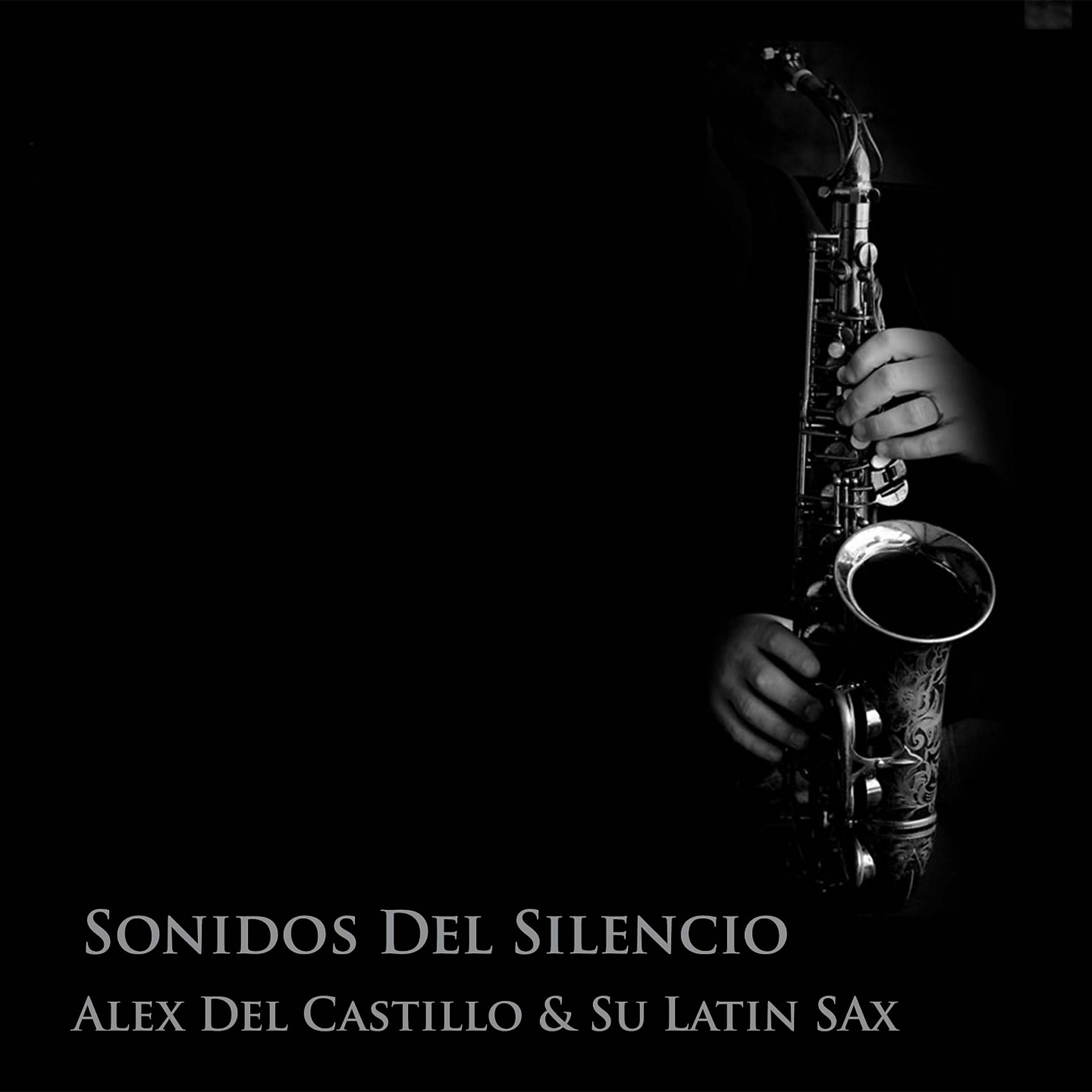 Постер альбома Sonidos del Silencio