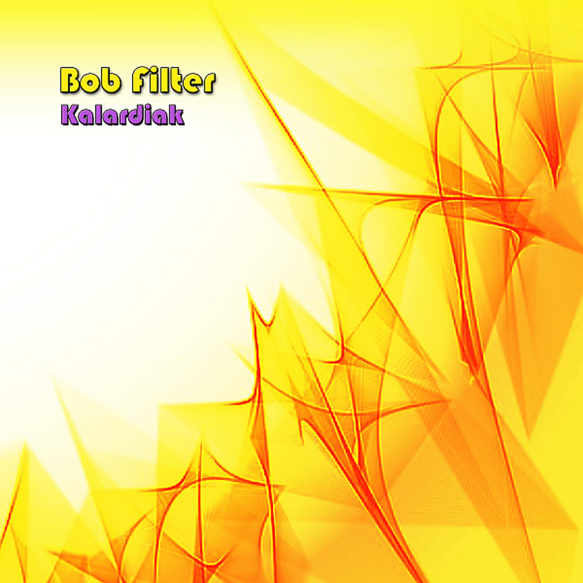 Постер альбома Bob Filter