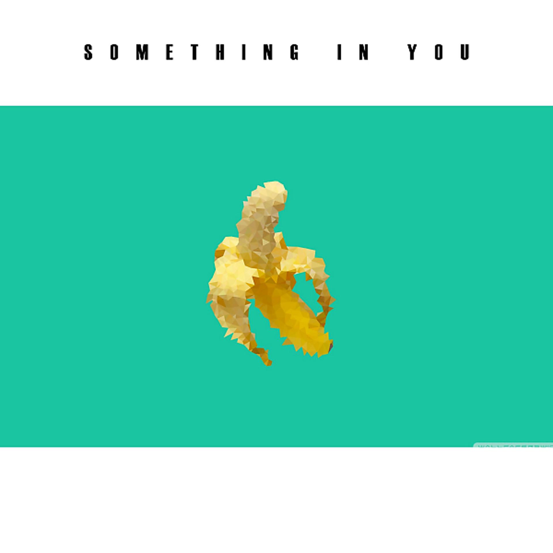 Постер альбома Something In You