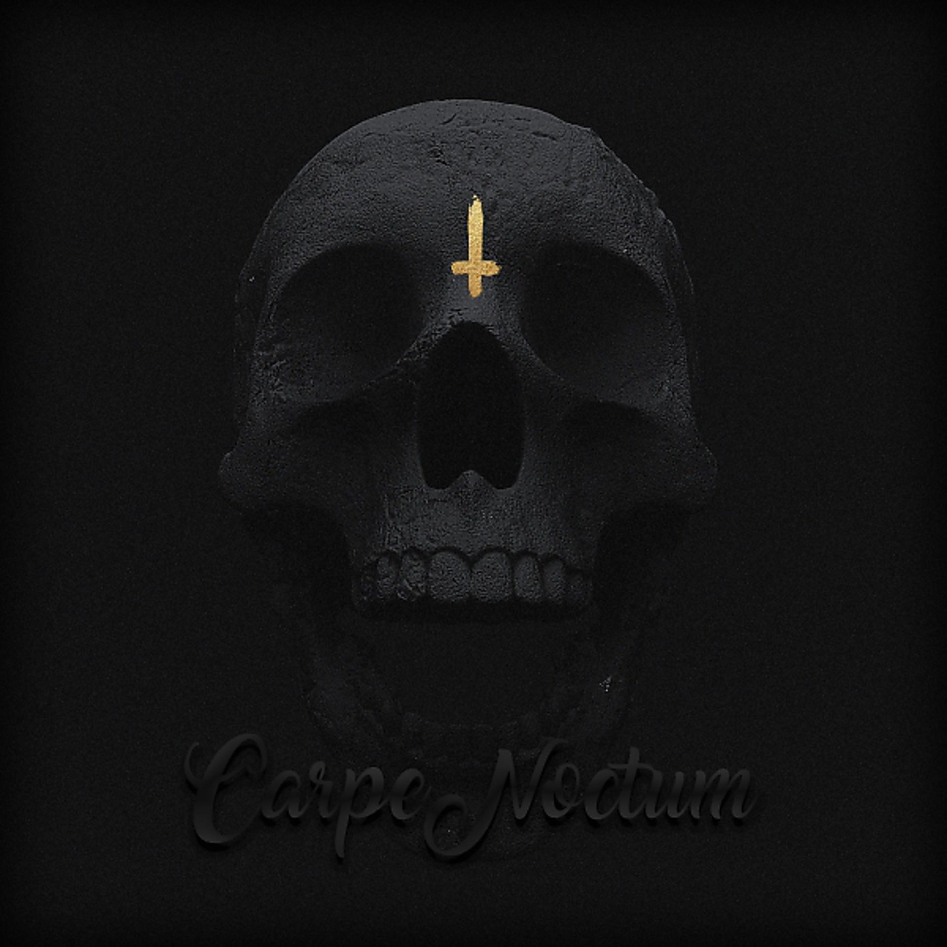 Постер альбома Carpe Noctum