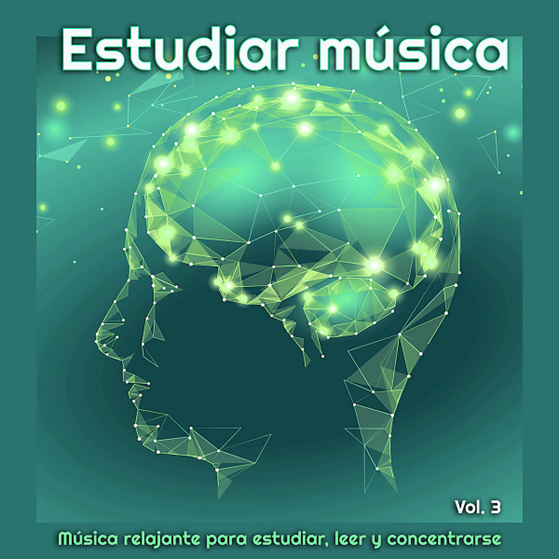 Постер альбома Estudiar música: Música relajante para estudiar, leer y concentrarse, Vol. 3