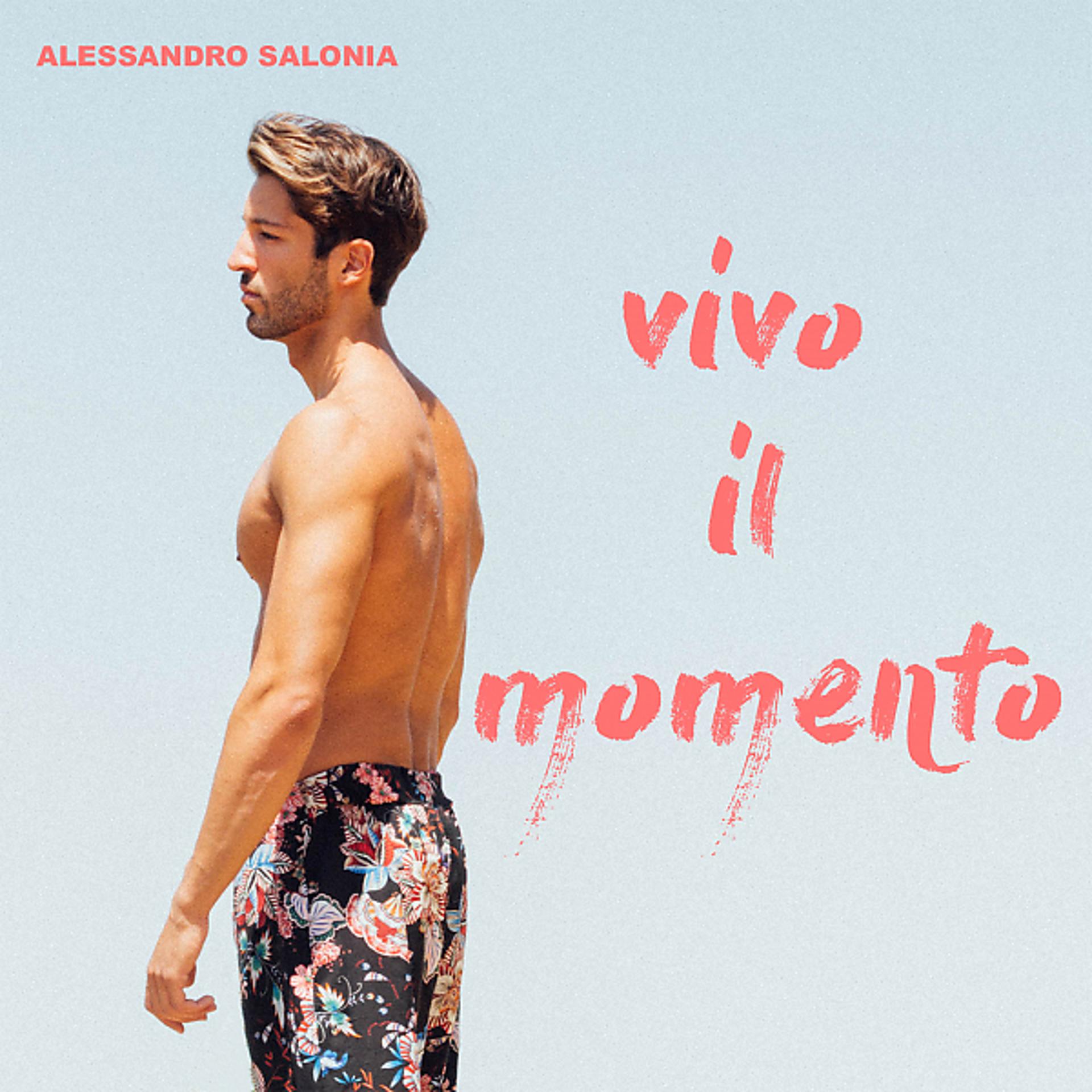 Постер альбома Vivo il momento