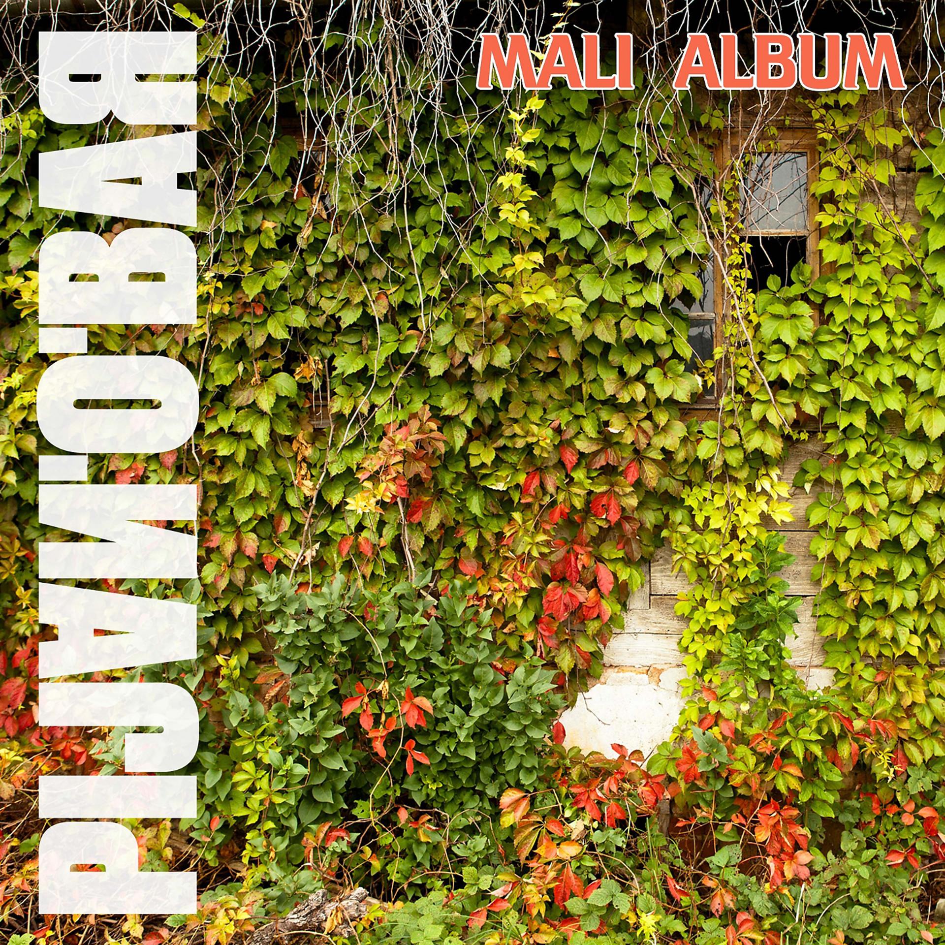 Постер альбома Mali Album