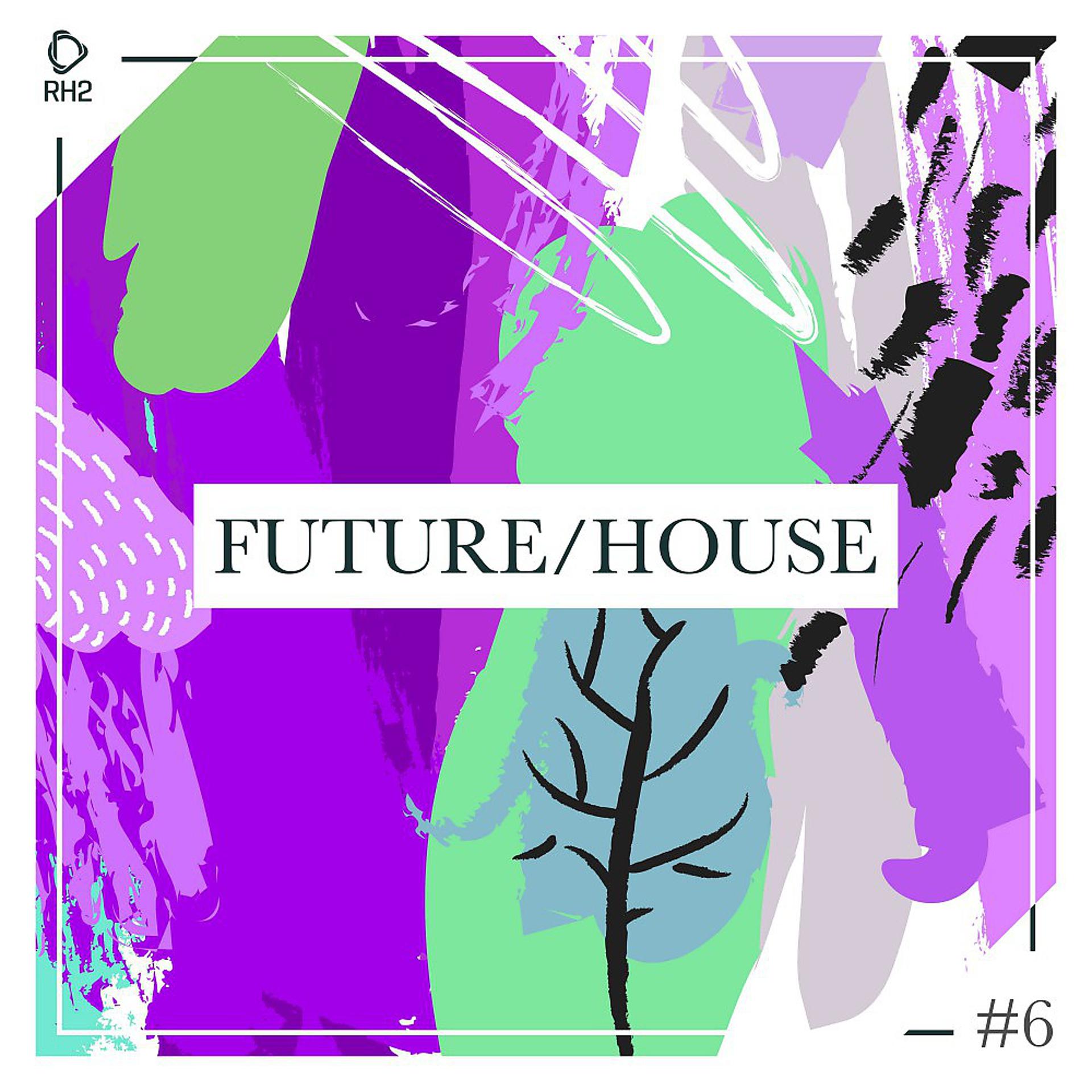 Постер альбома Future/House #6