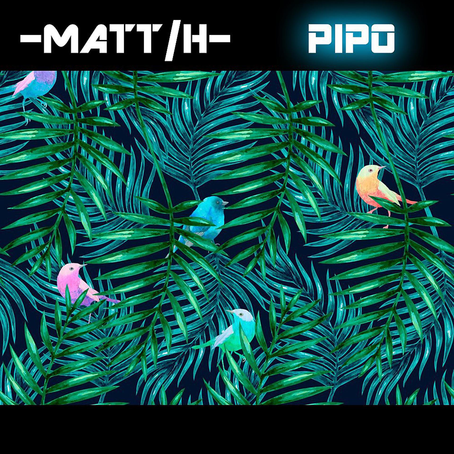 Постер альбома Pipo