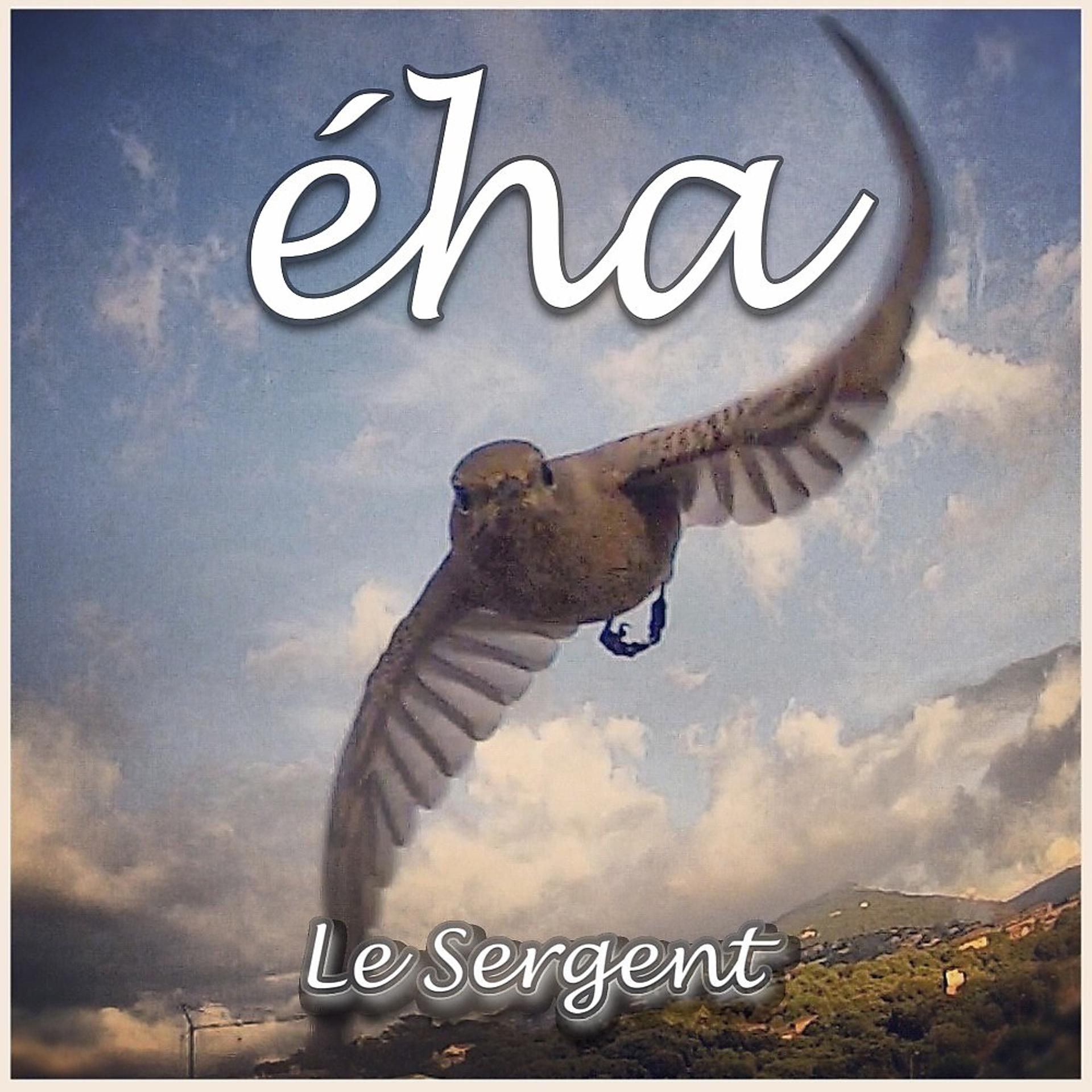 Постер альбома Eha