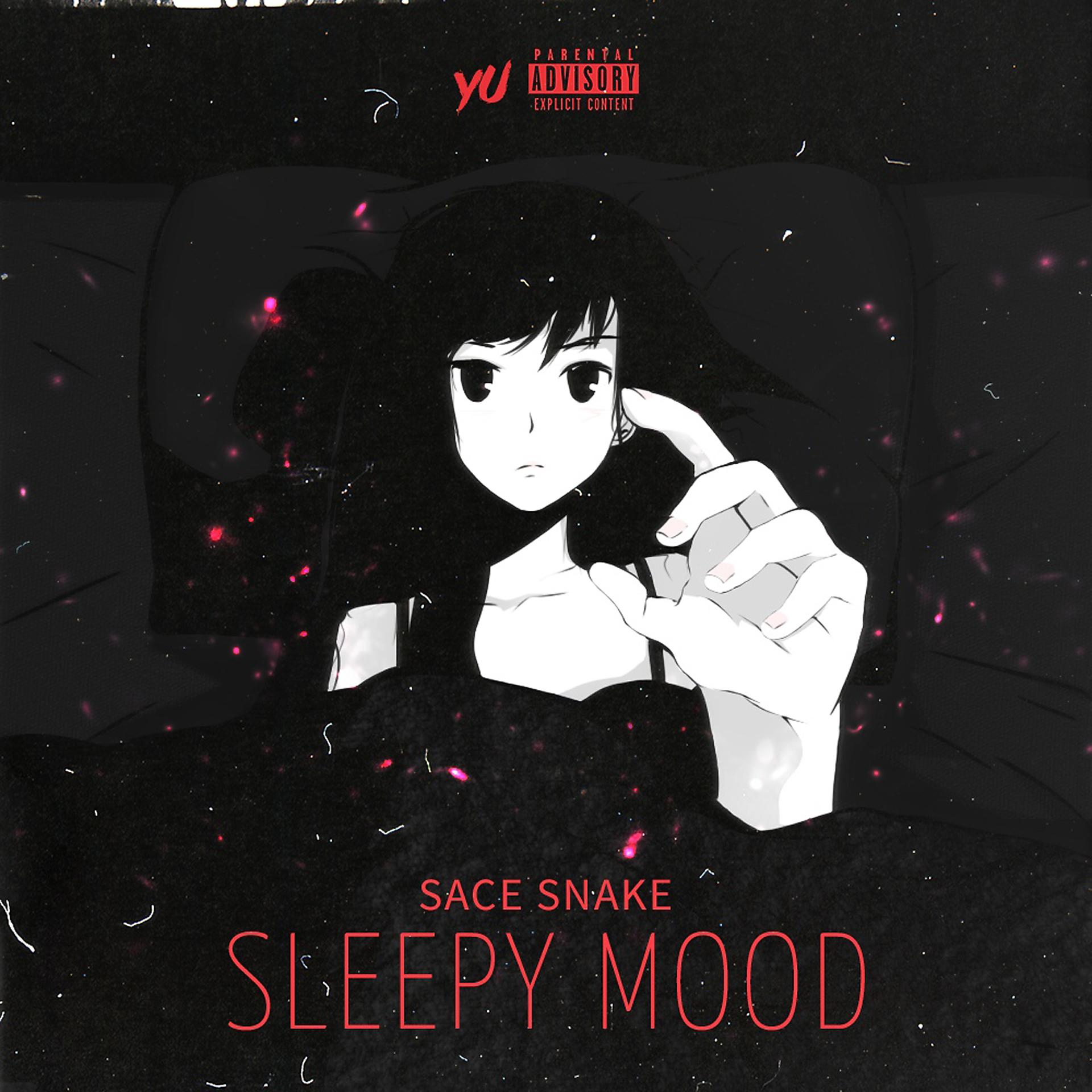 Постер альбома Sleepy Mood