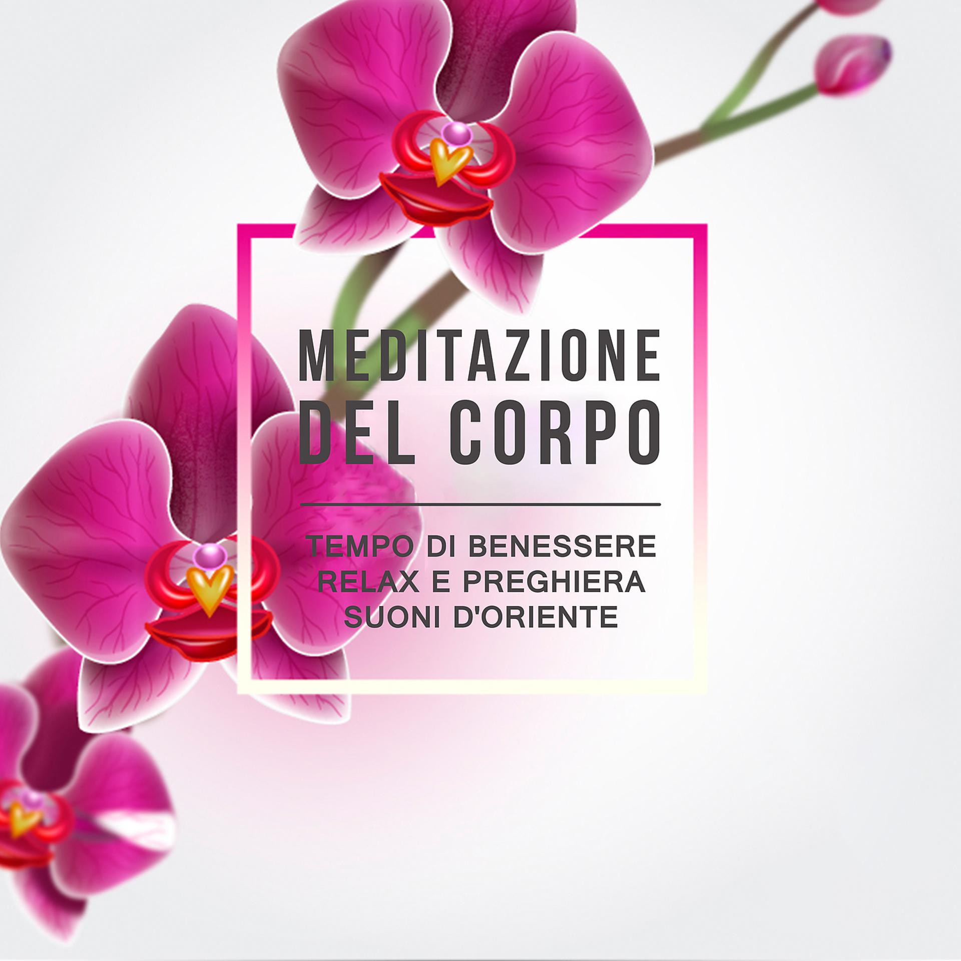 Постер альбома Meditazione del corpo - Tempo di benessere, relax e preghiera, suoni d'Oriente