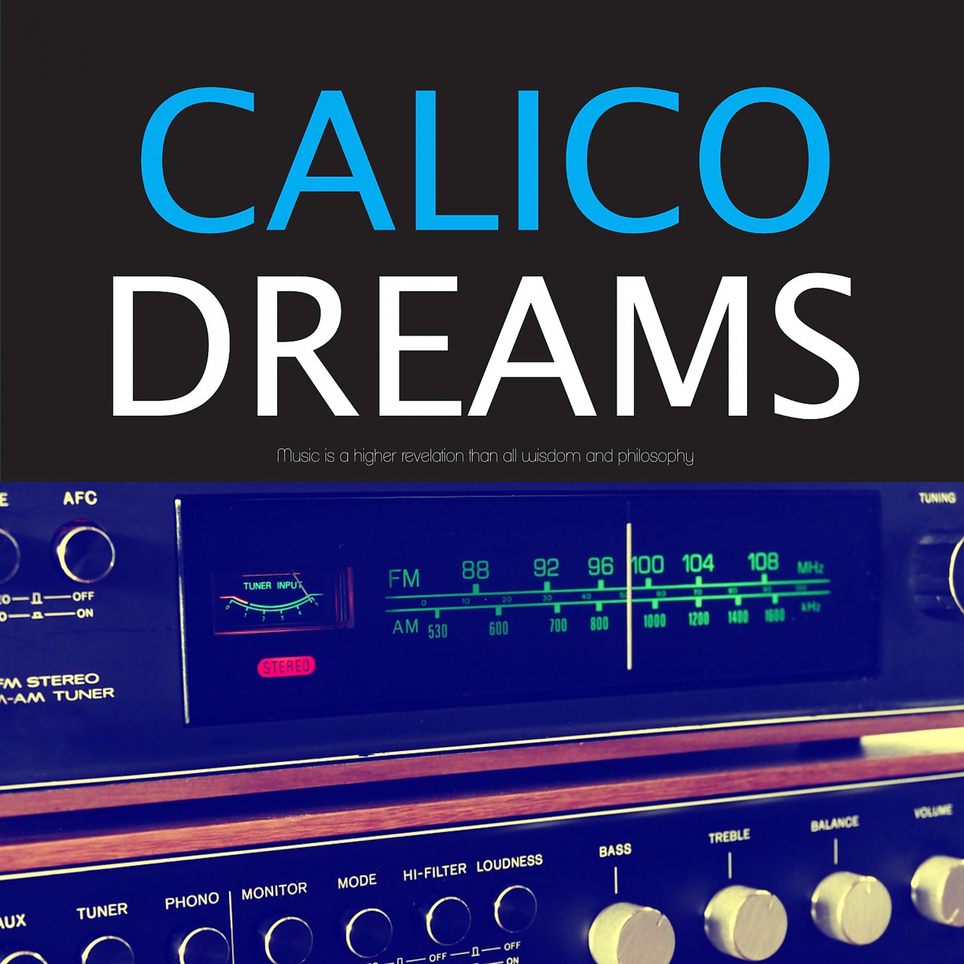 Постер альбома Calico Dreams