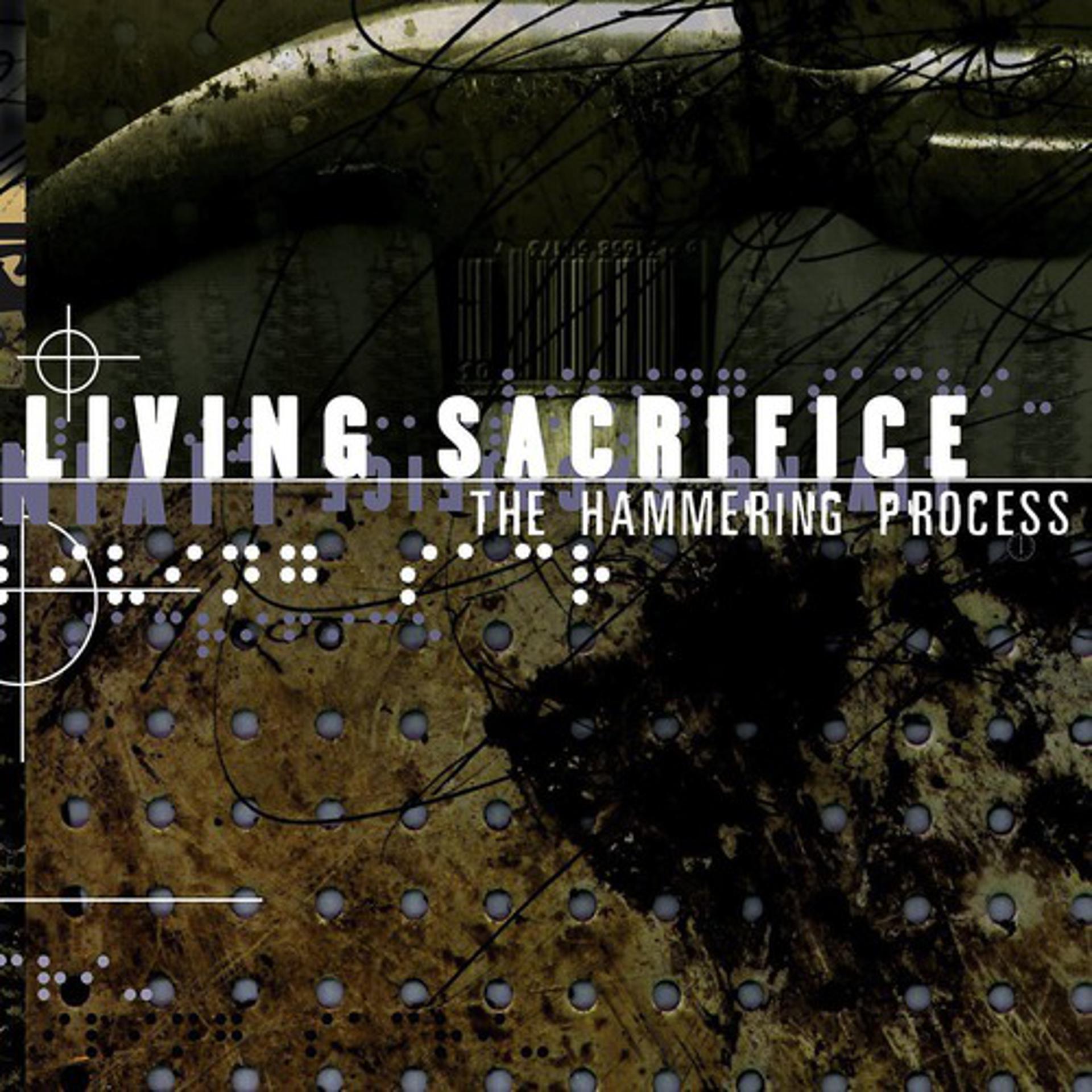 Постер альбома The Hammering Process