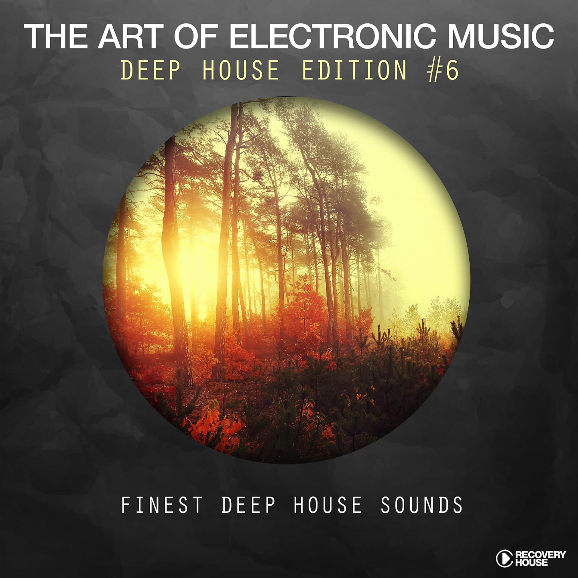 Постер альбома The Art Of Electronic Music - Deep House Edition, Vol. 6