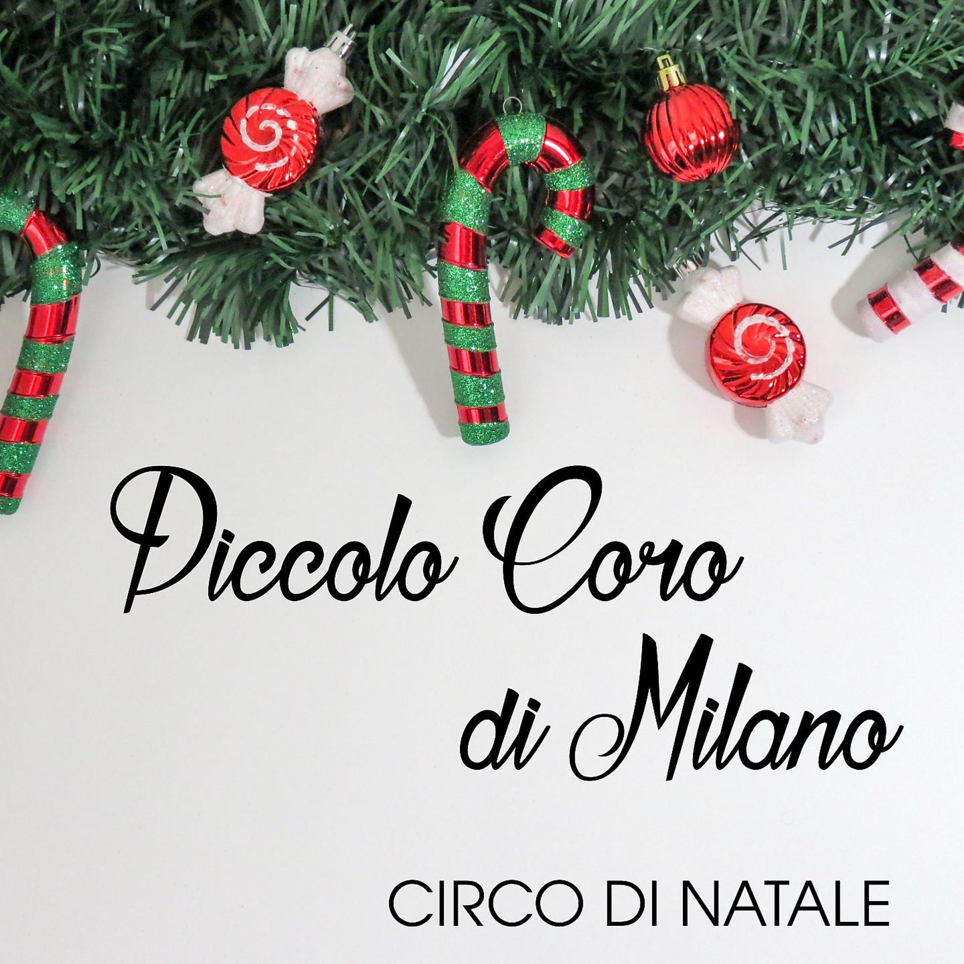 Постер альбома Circo di Natale