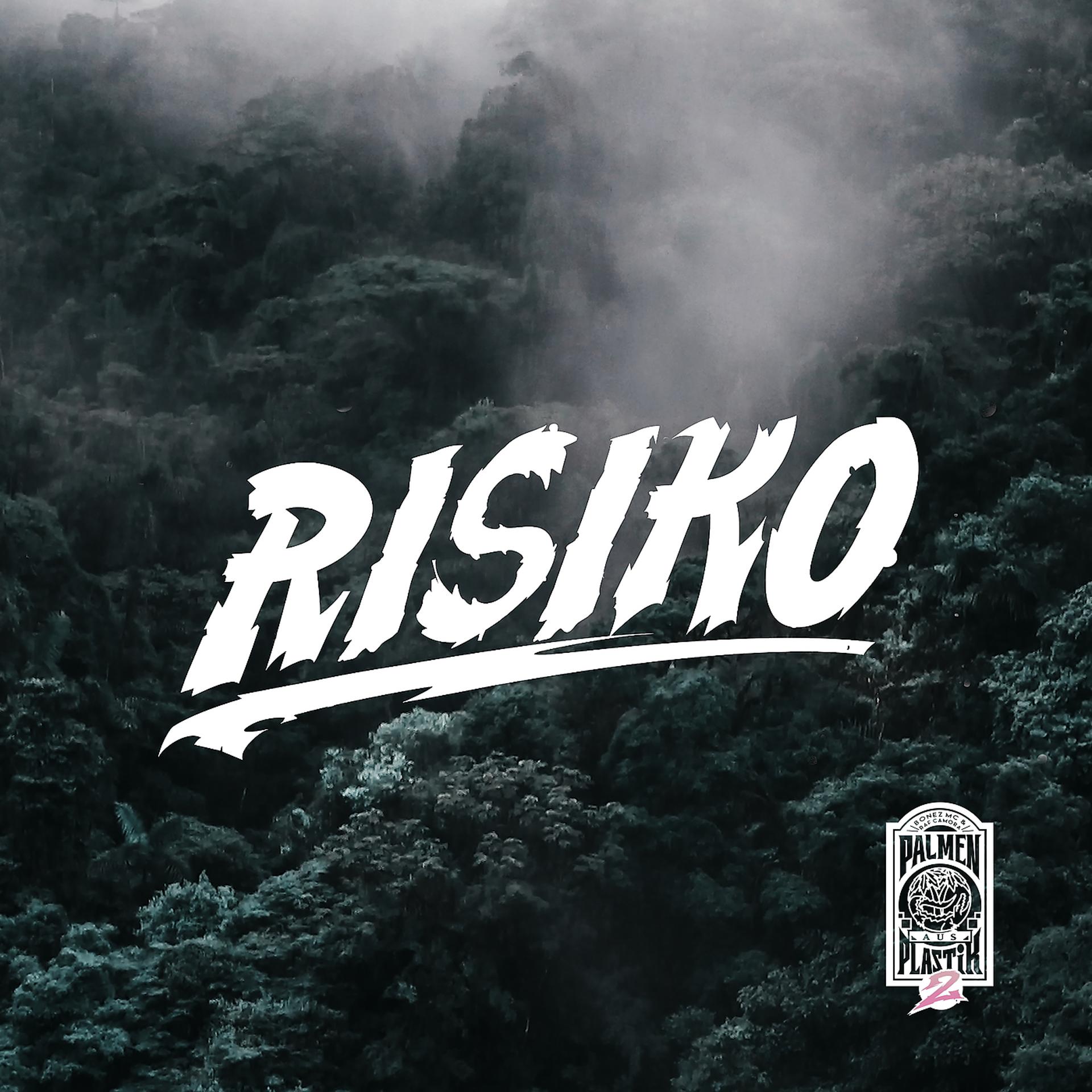 Постер альбома Risiko