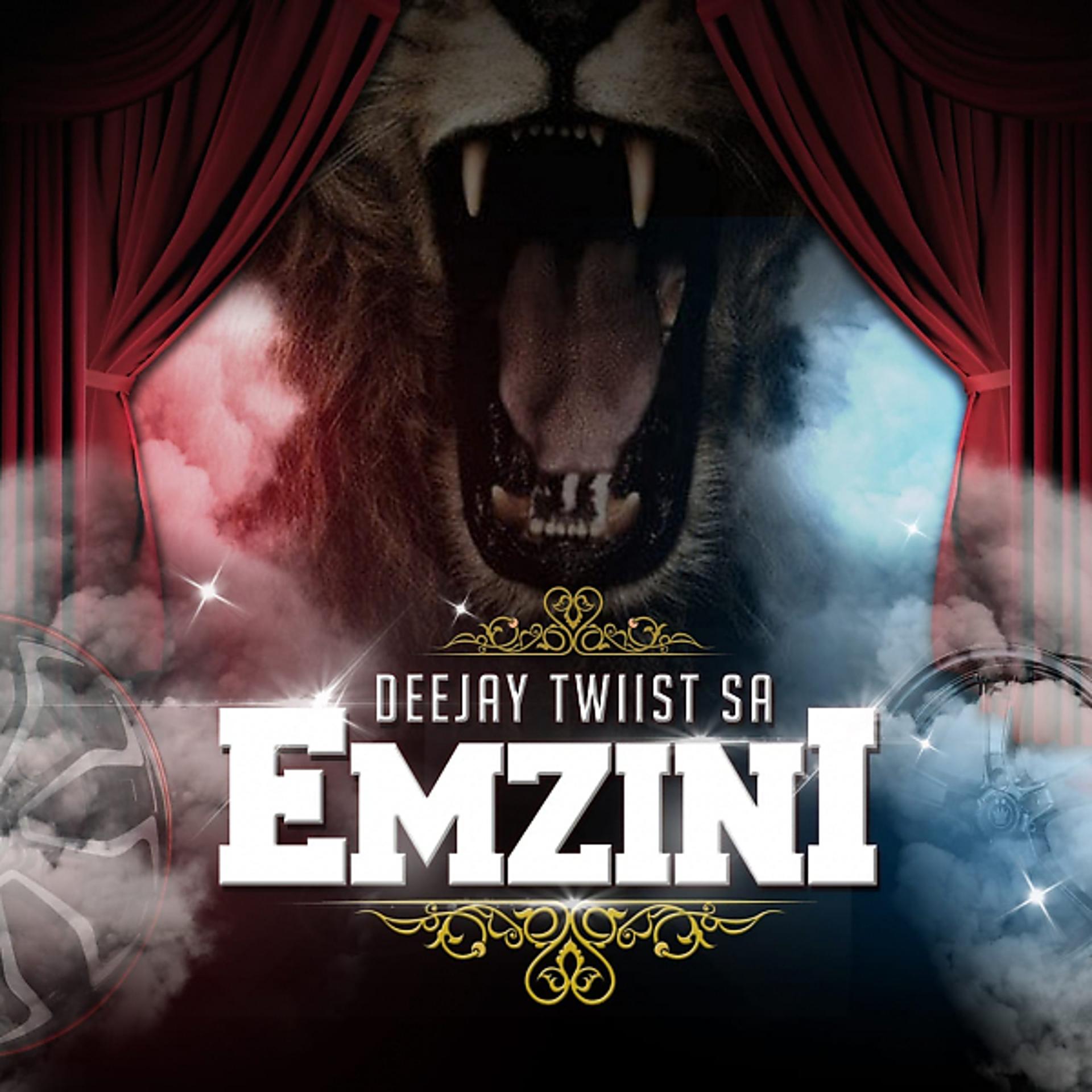 Постер альбома Emzini
