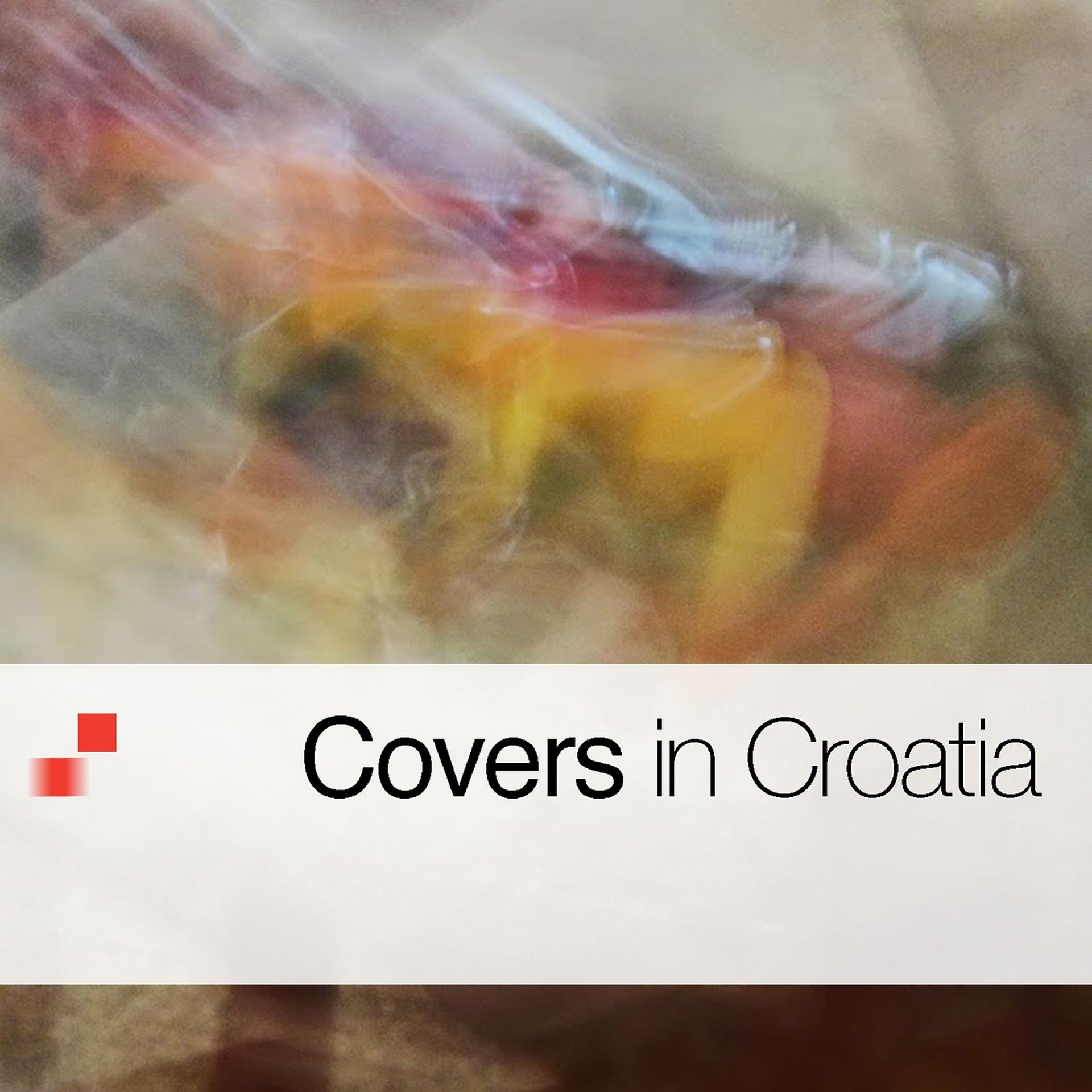 Постер альбома Covers In Croatia