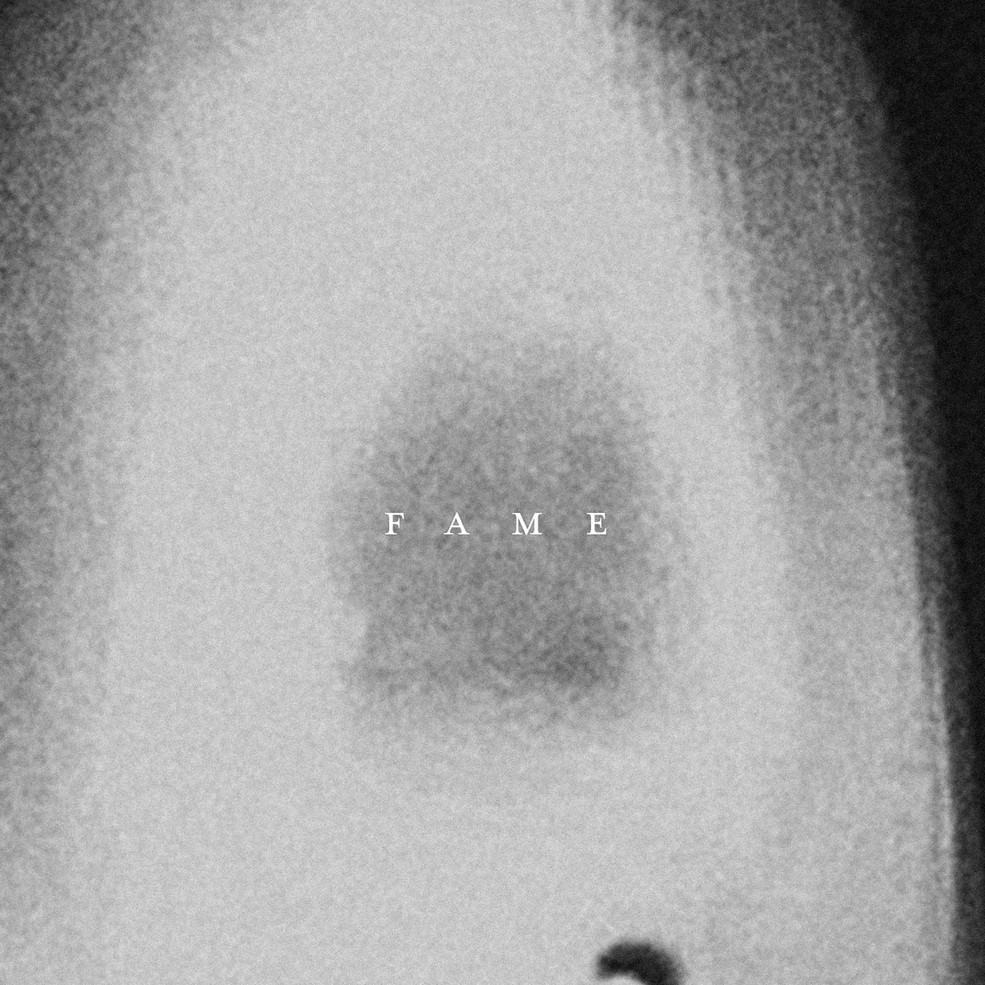 Постер альбома Fame (Remixes)