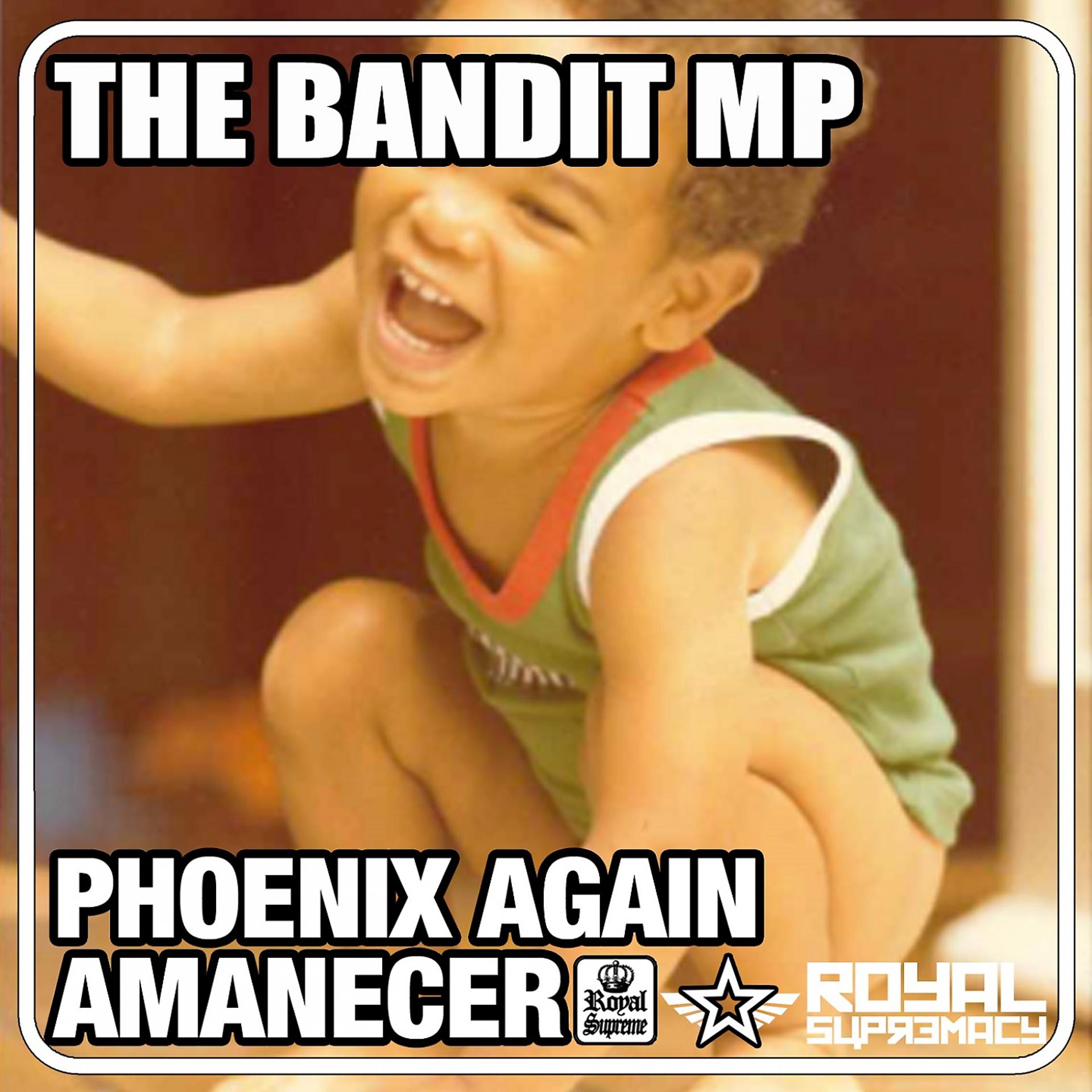 Постер альбома Amanecer / Phoenix Again