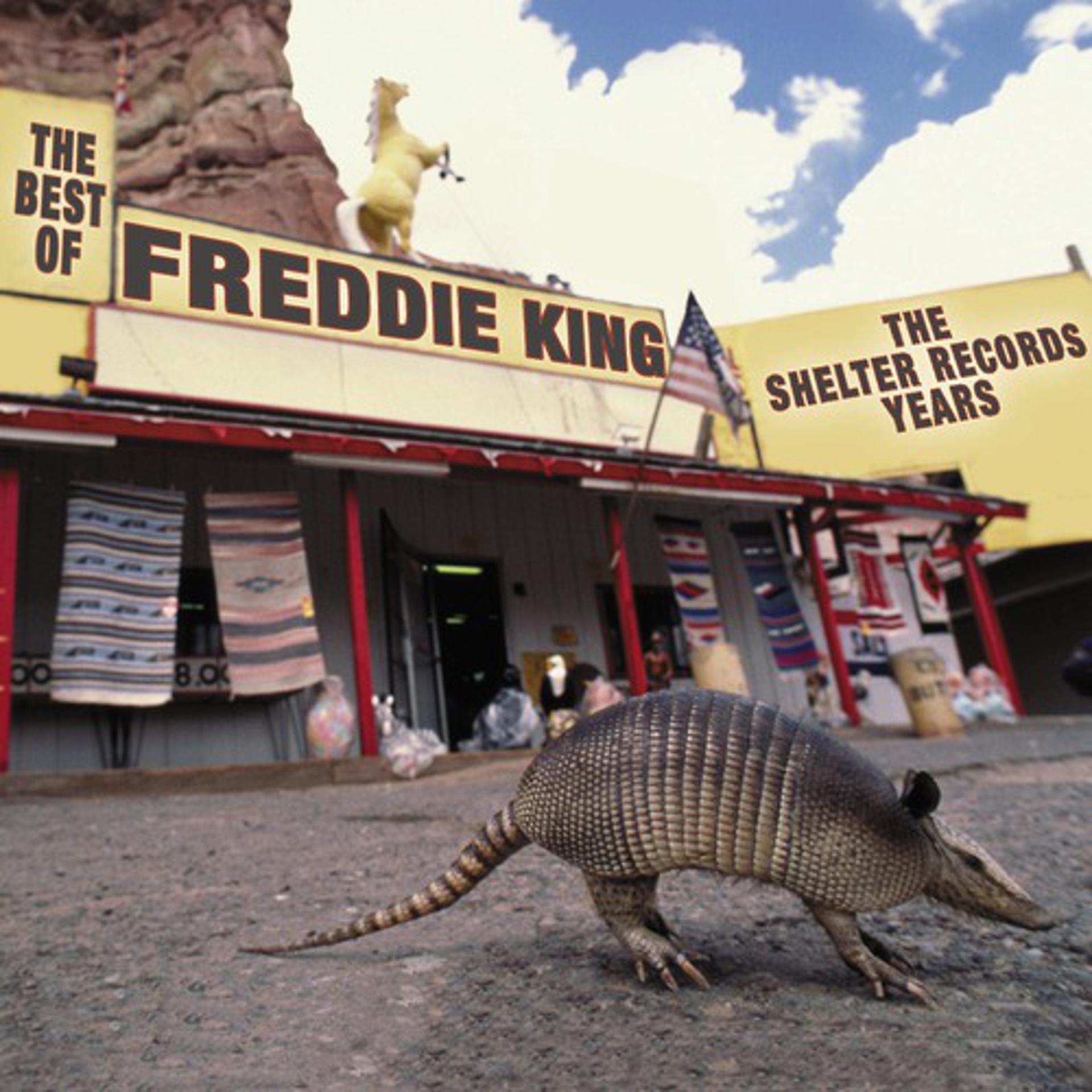 Постер альбома The Best Of Freddie King: The Shelter Years