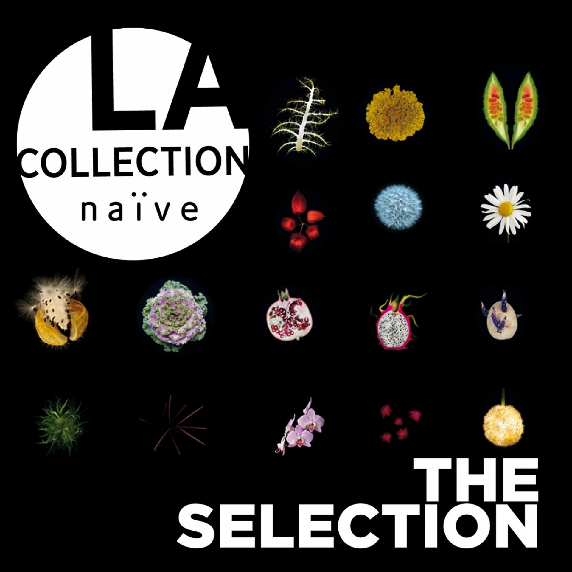 Постер альбома La collection naïve: The Selection