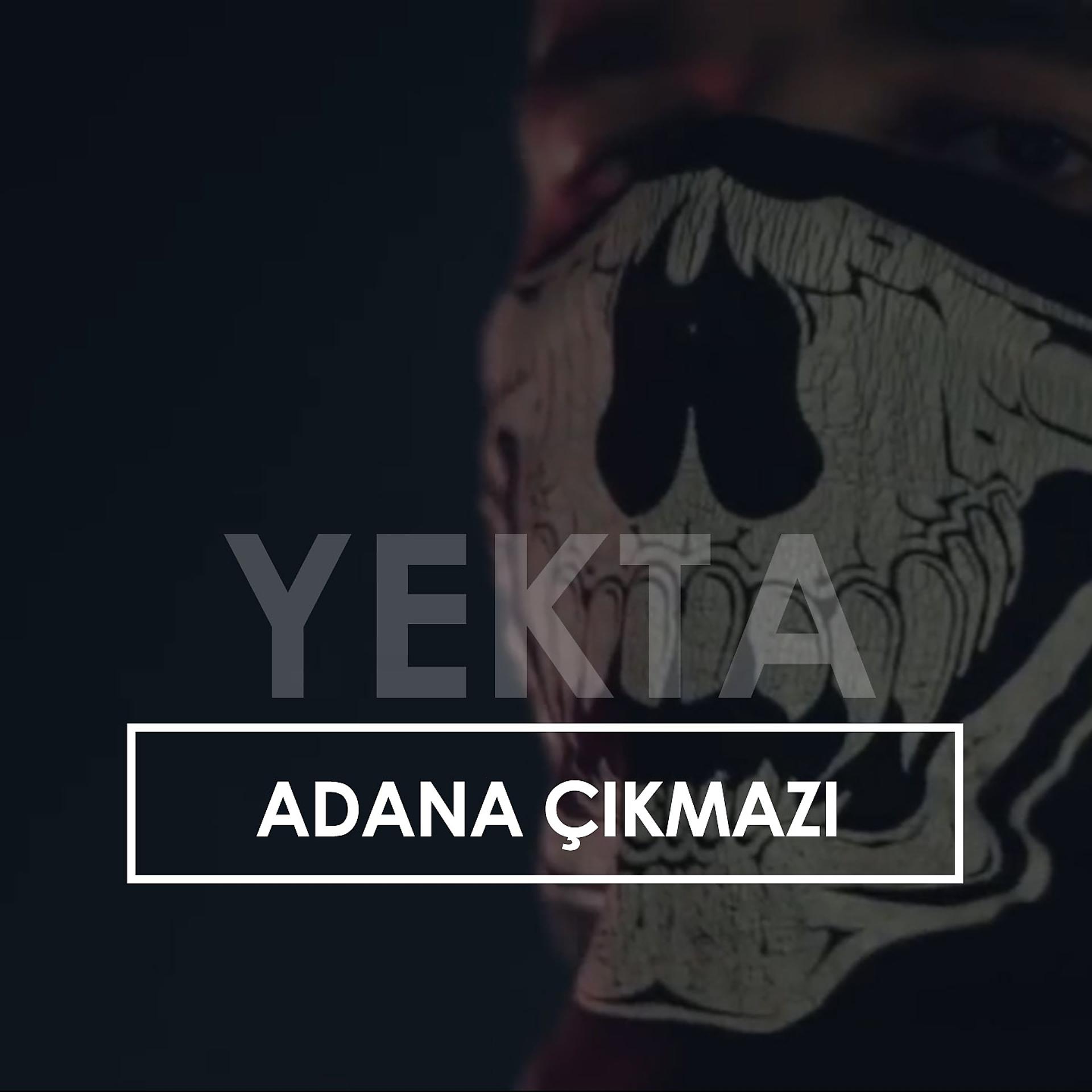 Постер альбома Adana Çıkmazı