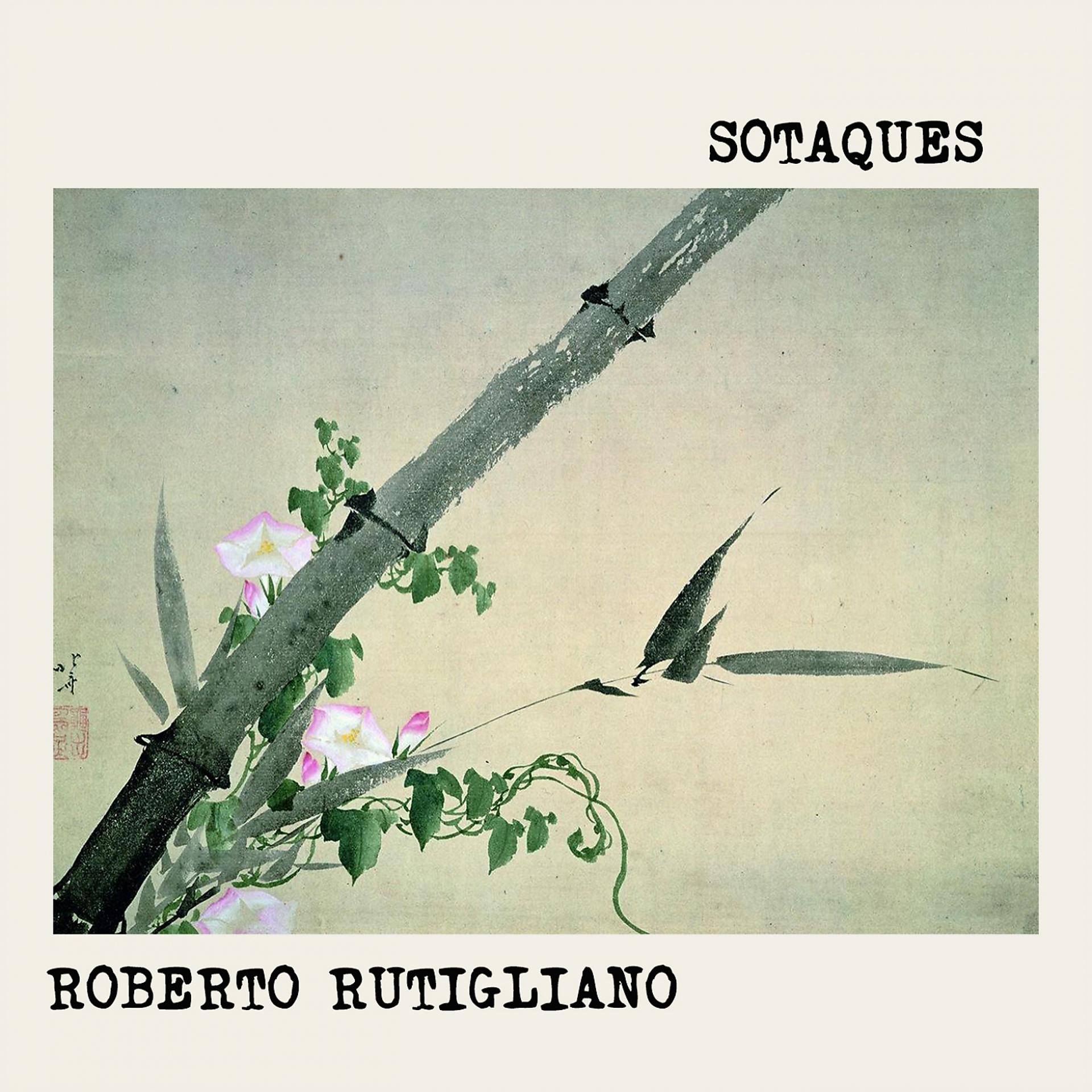 Постер альбома Sotaques