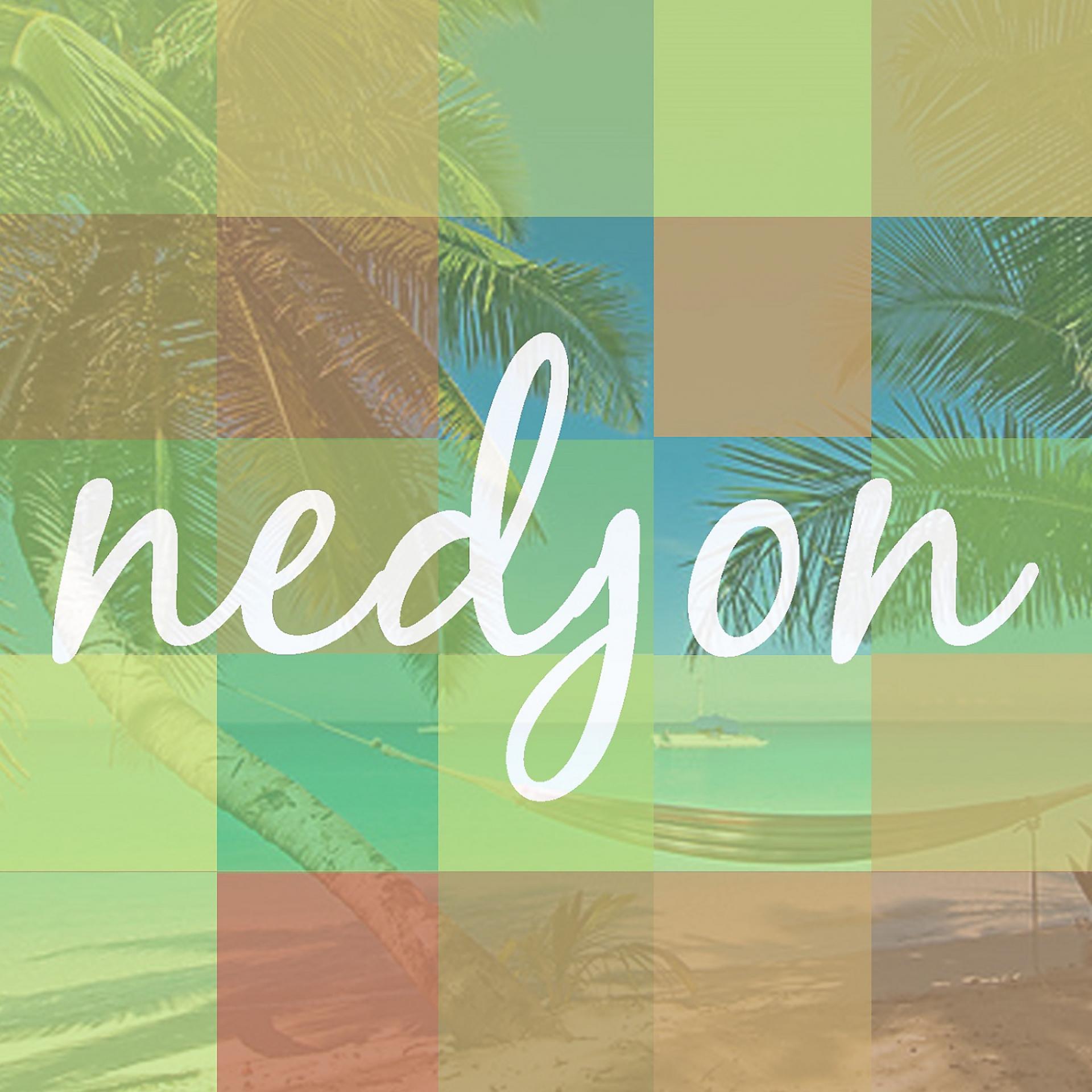Постер альбома Nedjon