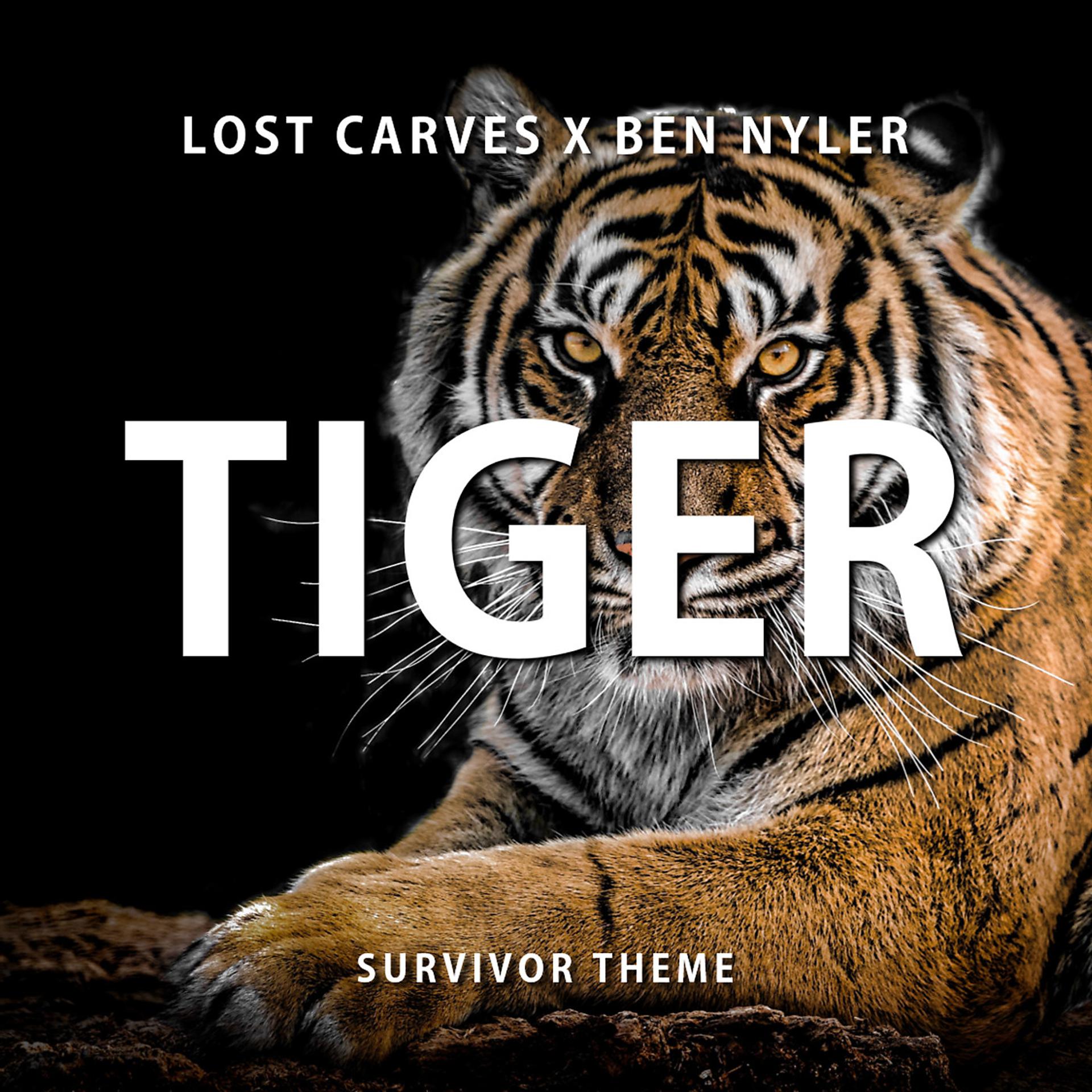 Постер альбома Tiger (Survivor Theme)