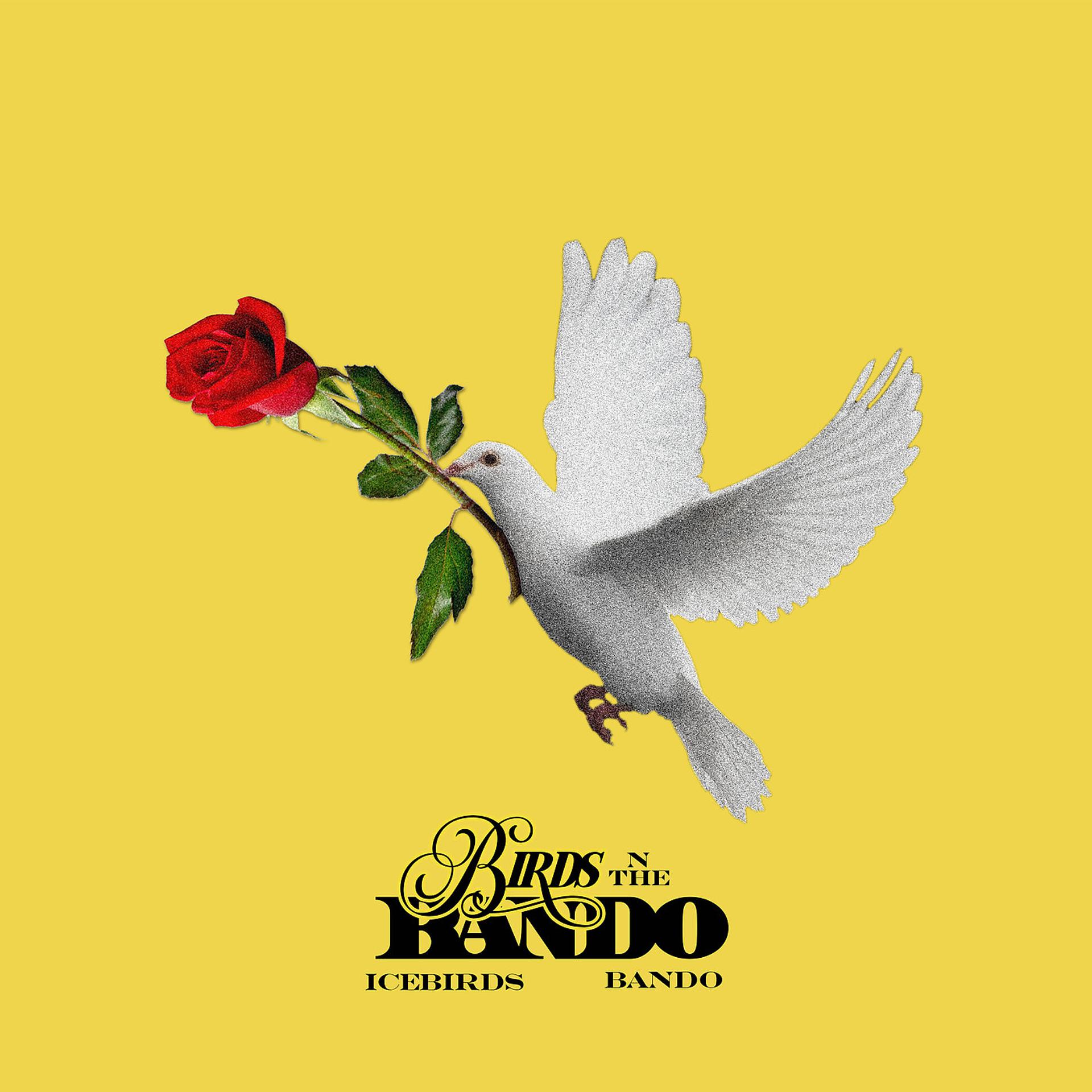 Постер альбома Birds n the Bando