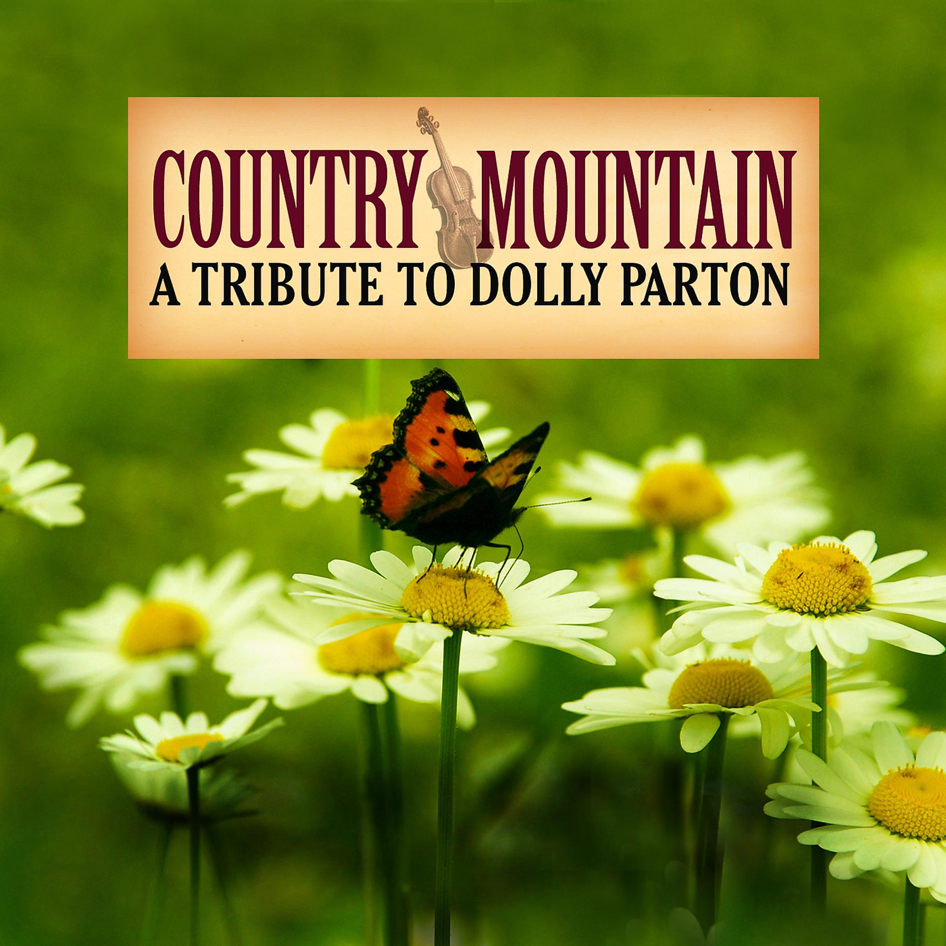 Постер альбома Country Mountain Tributes: Dolly Parton