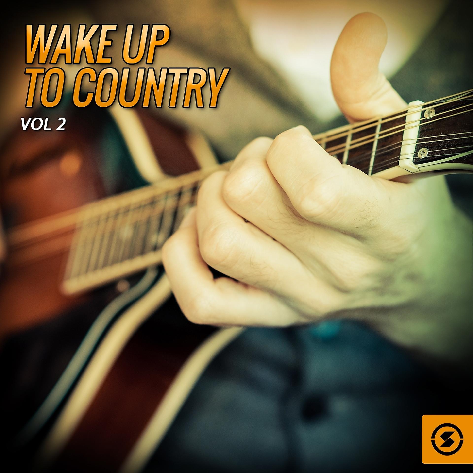 Постер альбома Wake Up To Country, Vol. 2