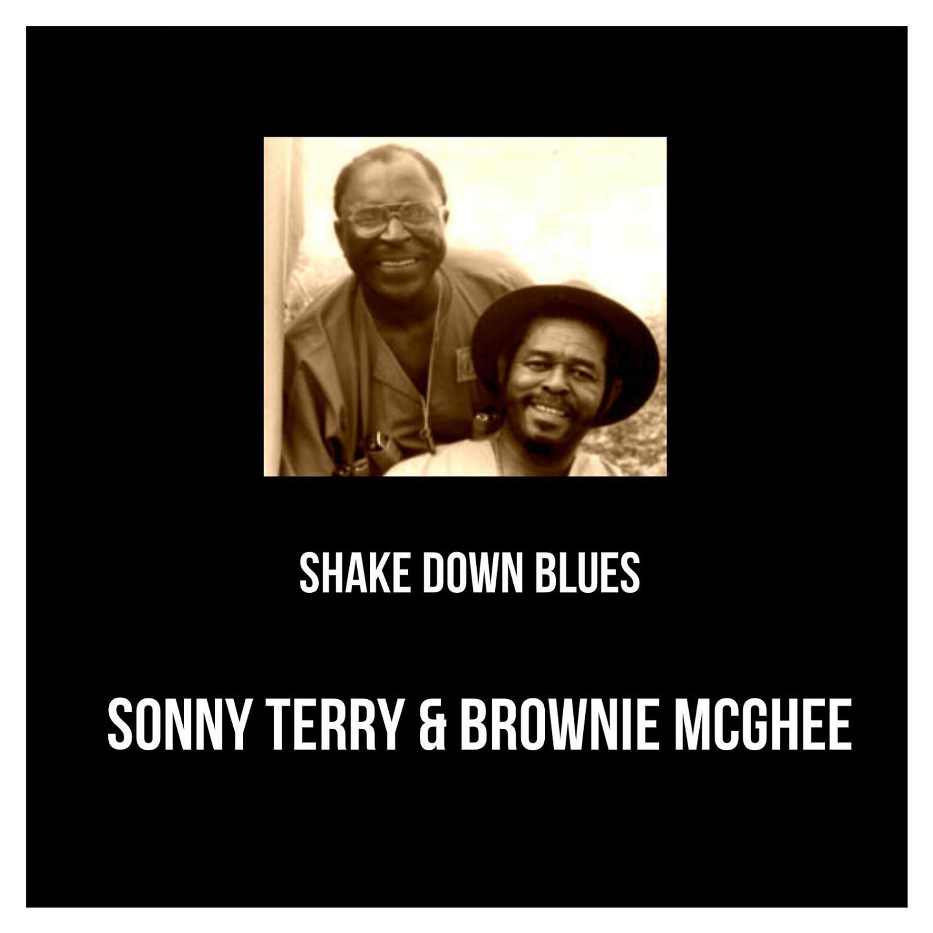 Постер альбома Shake Down Blues