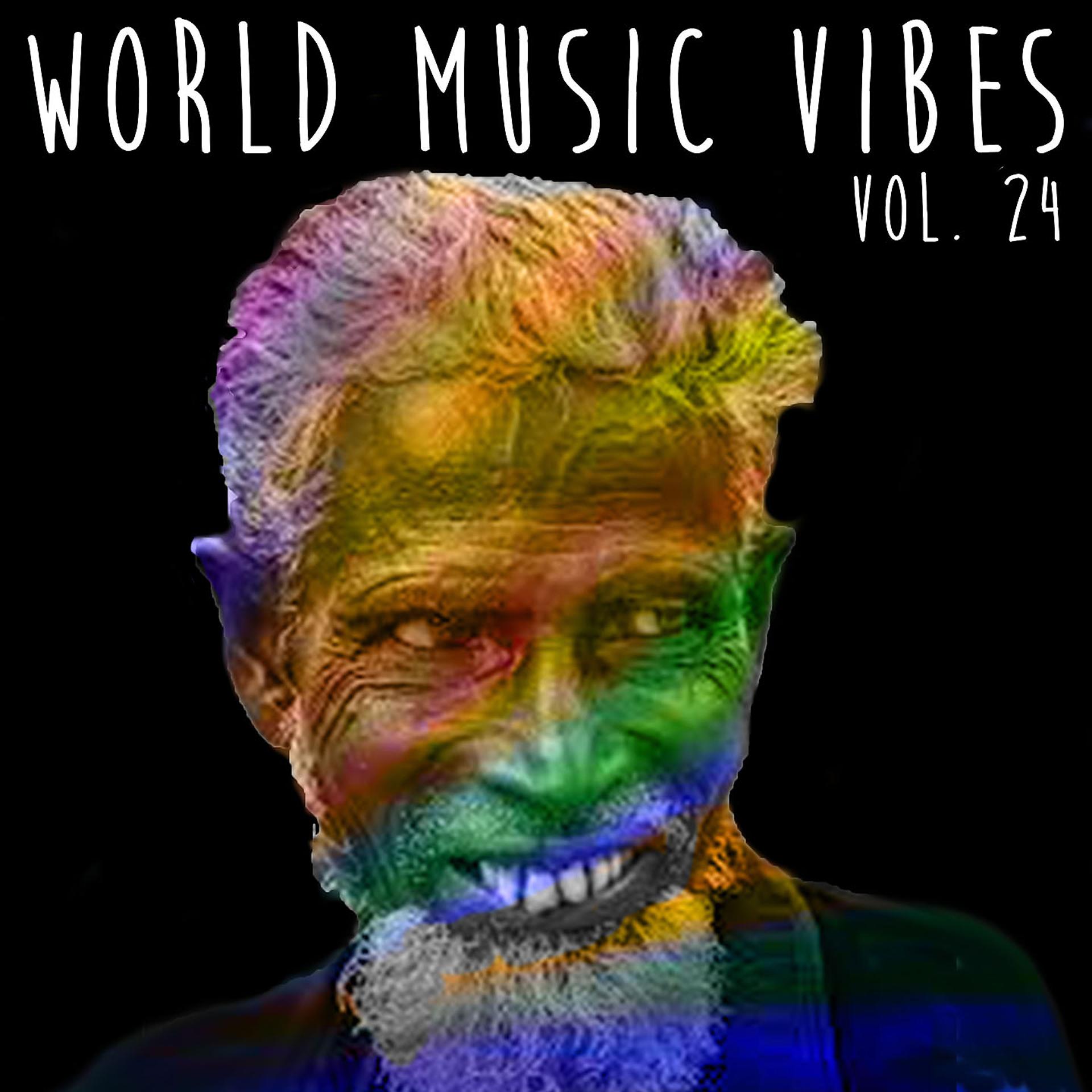 Постер альбома World Music Vibes Vol. 24